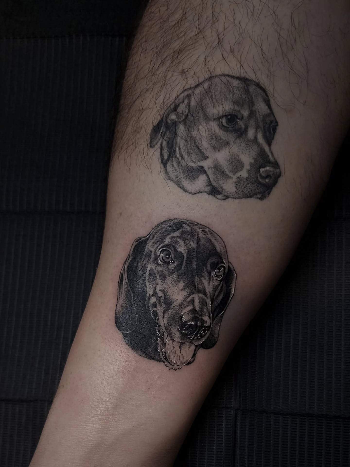 Dog portraits dotwork tattoo on the forearm by Mariah Giovanna Hodgens