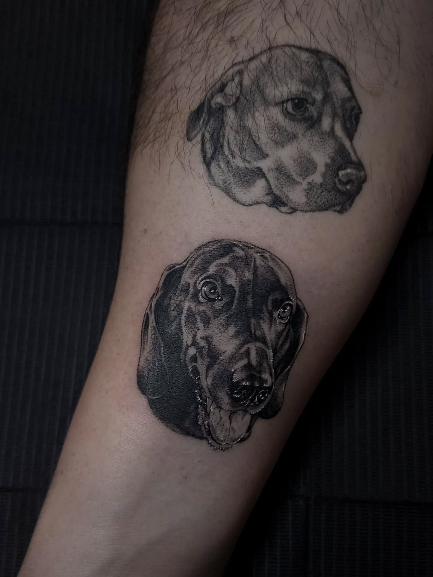 Dog portraits dotwork tattoo on the forearm by Mariah Giovanna Hodgens