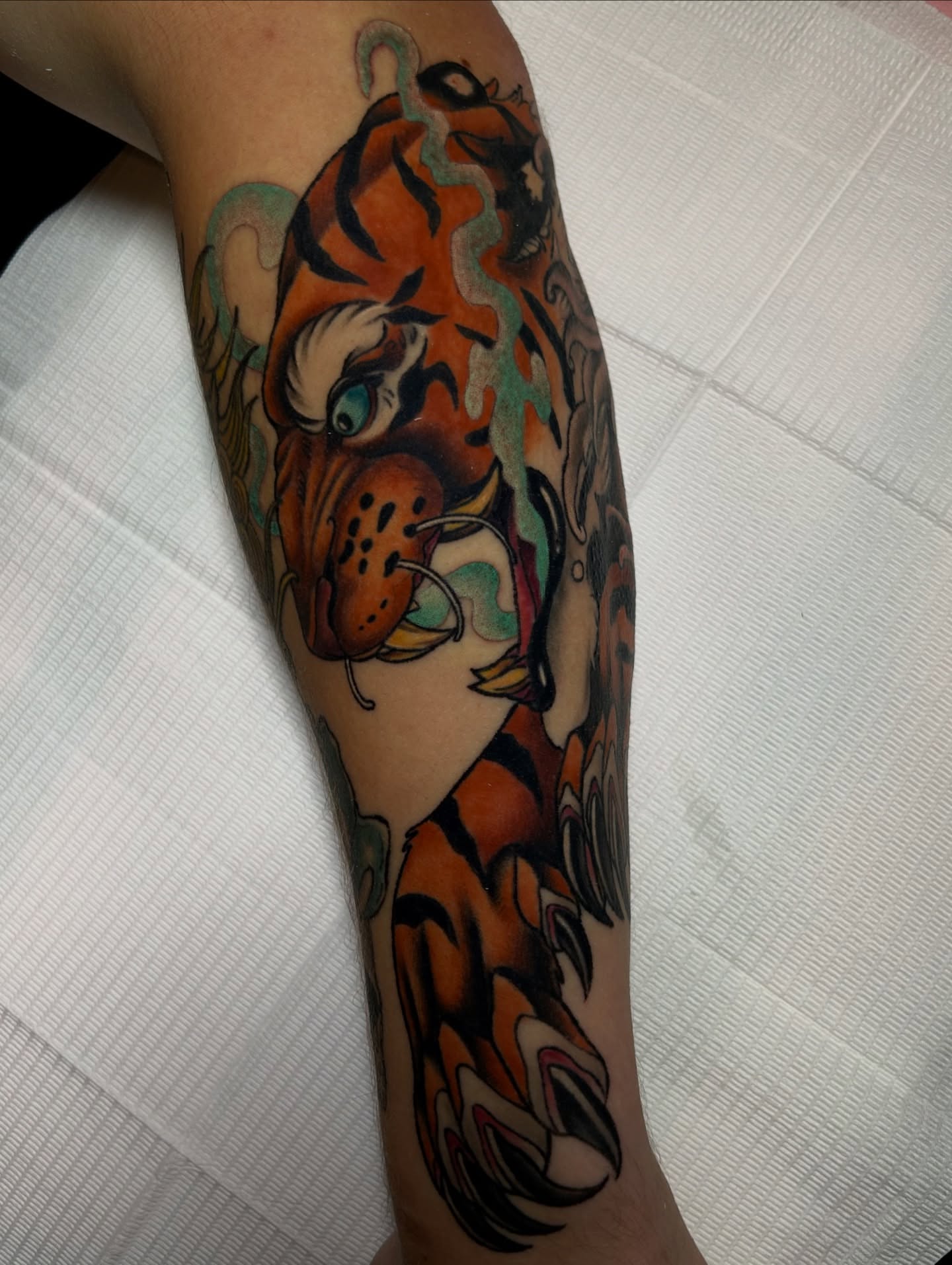 Tiger American traditional tattoo on the forearm by Tattoos By Lola Cavotta, Willoughby, Ohio