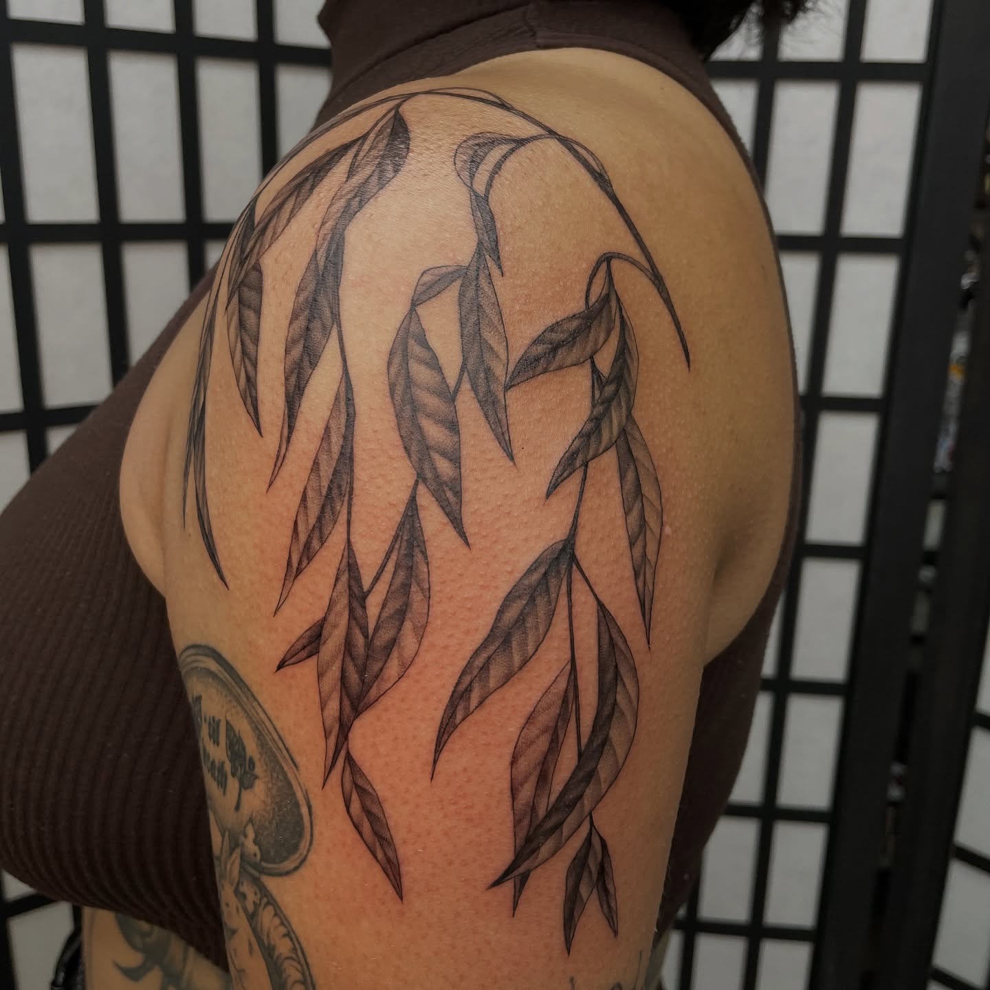 Weeping willow leaves black and grey tattoo on the shoulder by kaylee