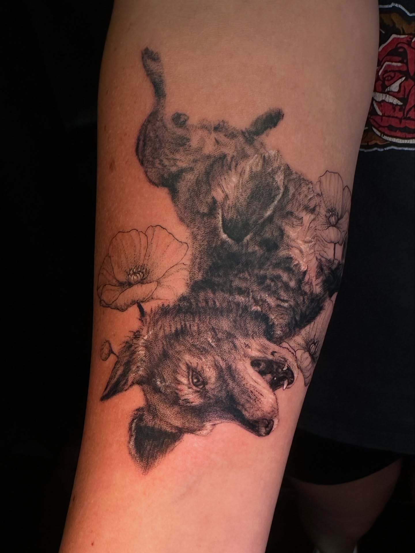 Wolves and flowers realism tattoo on the forearm by Hues 🦤 Clarksville Fine Line and Blackwork