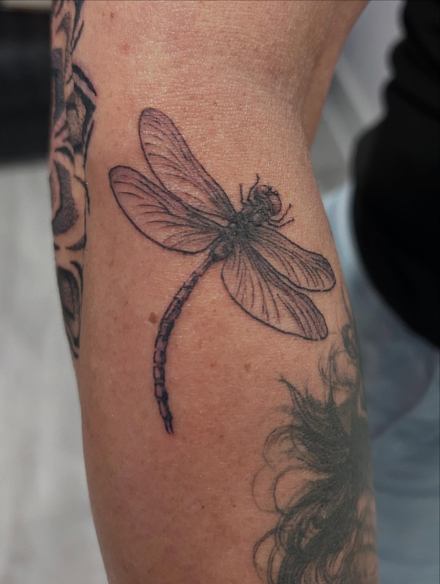 Dragonfly black and grey tattoo on the forearm by Jbtattoo Artistry