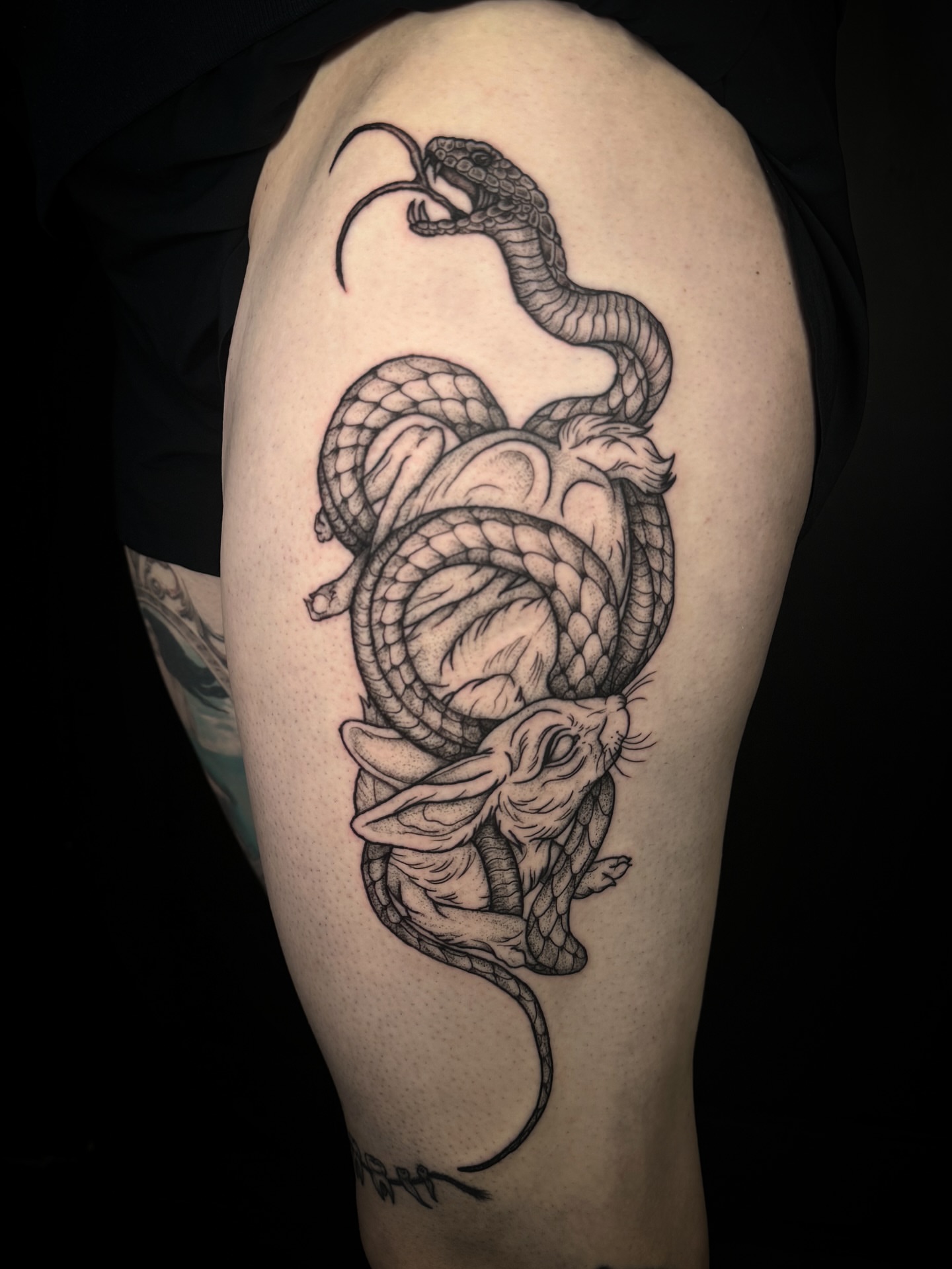Snake and mouse realism tattoo on the thigh by Kam Mills