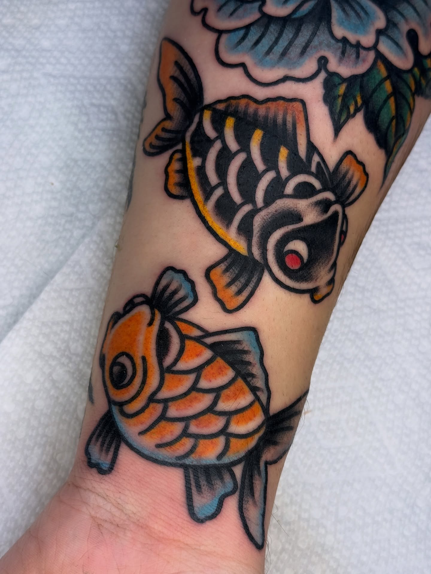 Koi fish American traditional tattoo on the forearm by Tony Kaplan