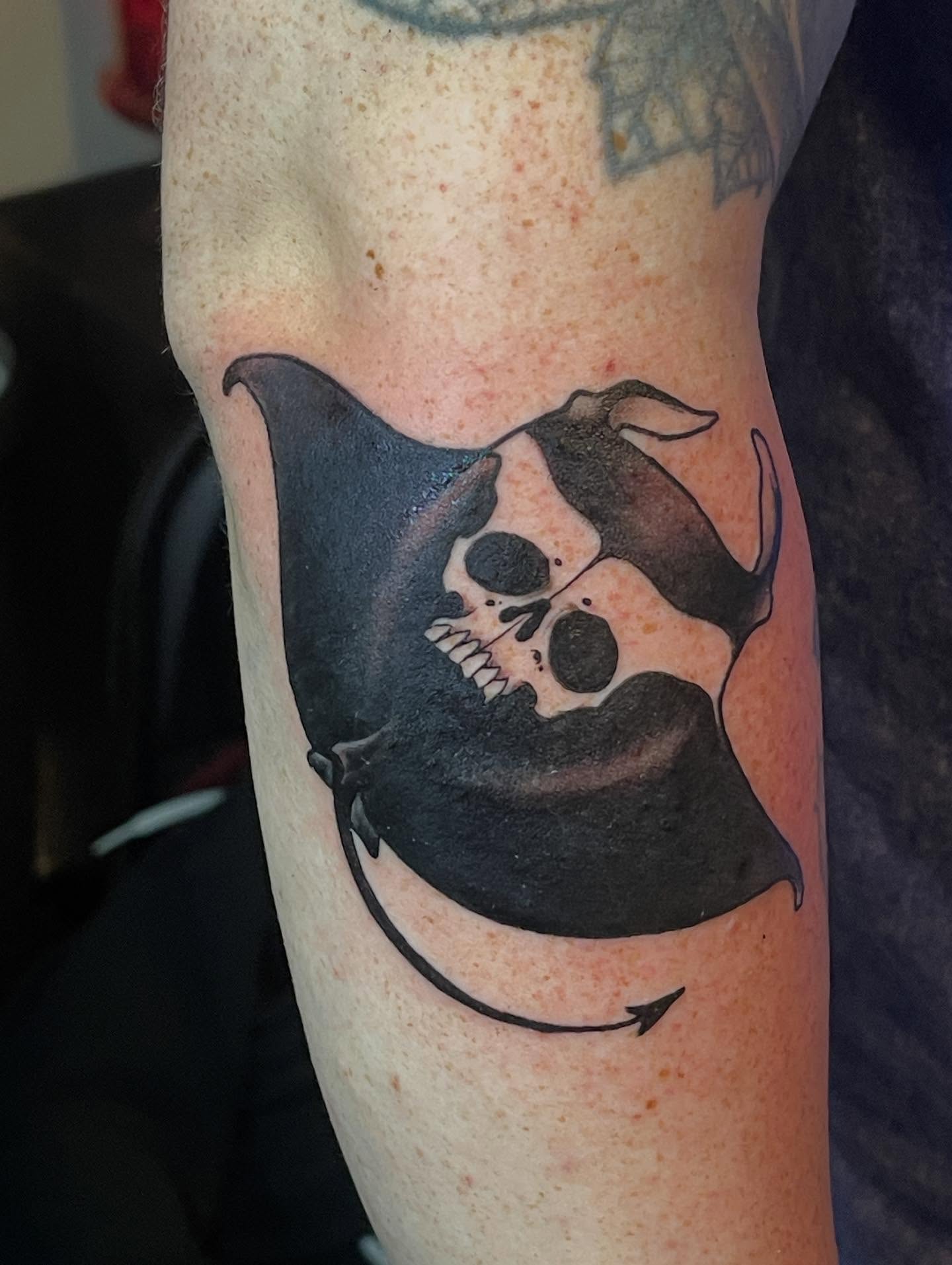 Manta ray skull realism tattoo on the forearm by Joe Moreira