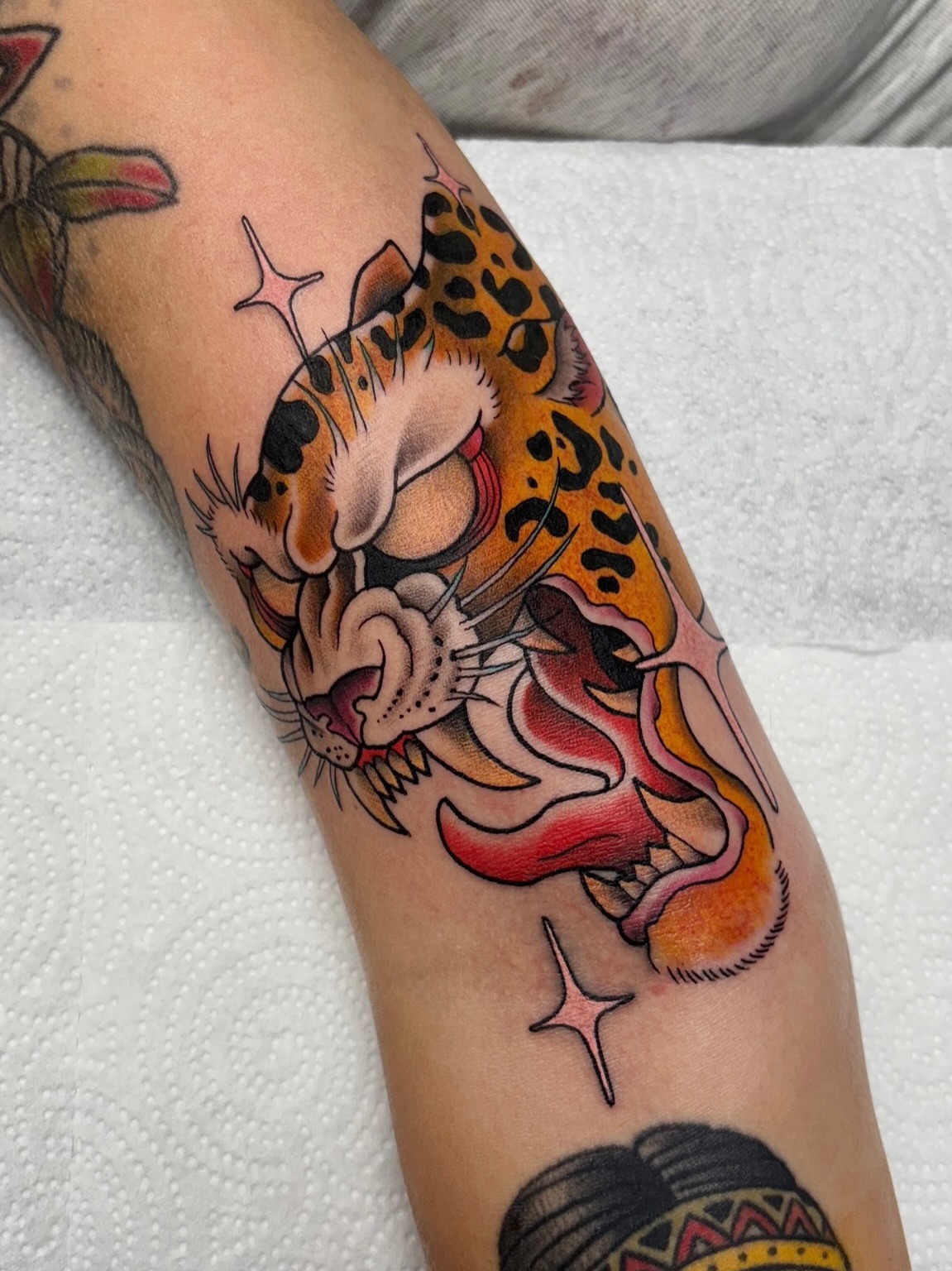 Leopard American traditional tattoo on the forearm by Dyllan Shipley