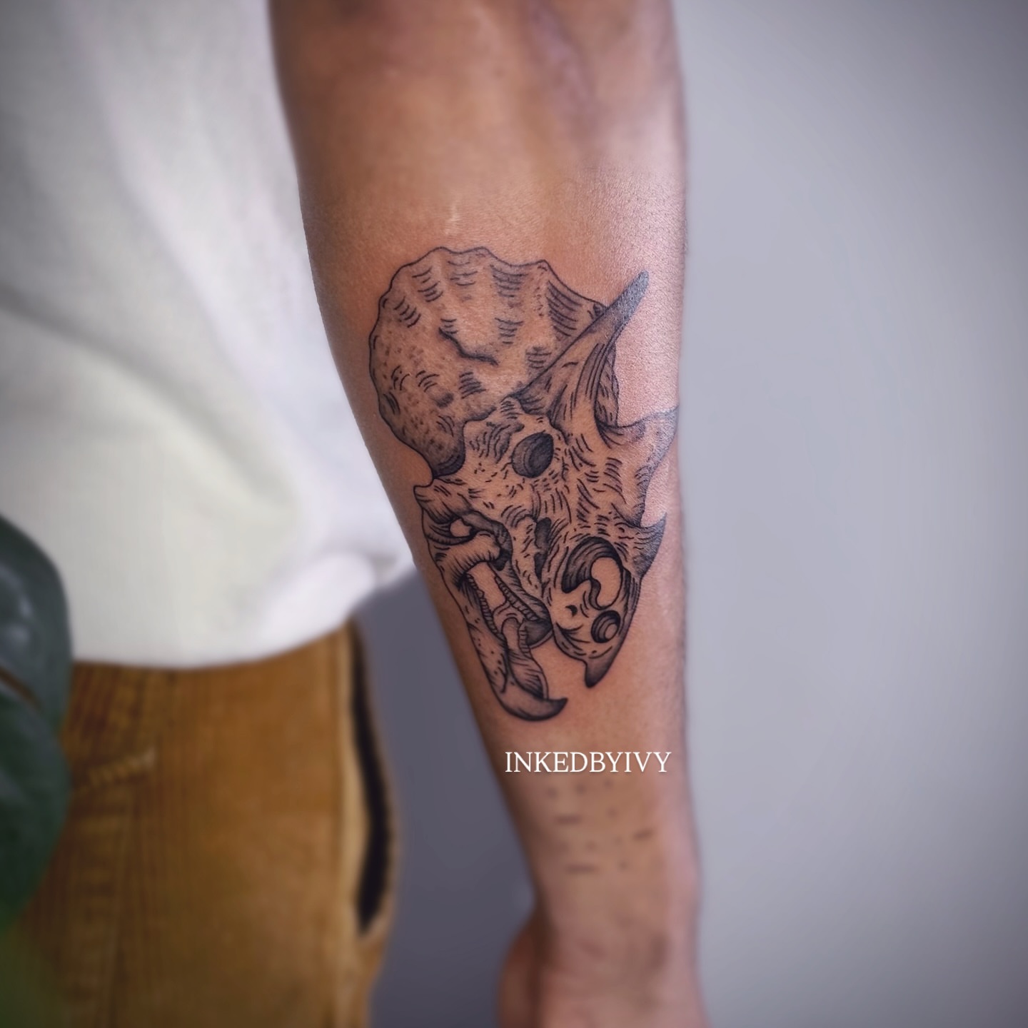 Triceratops skull black and grey tattoo on the forearm by IVY