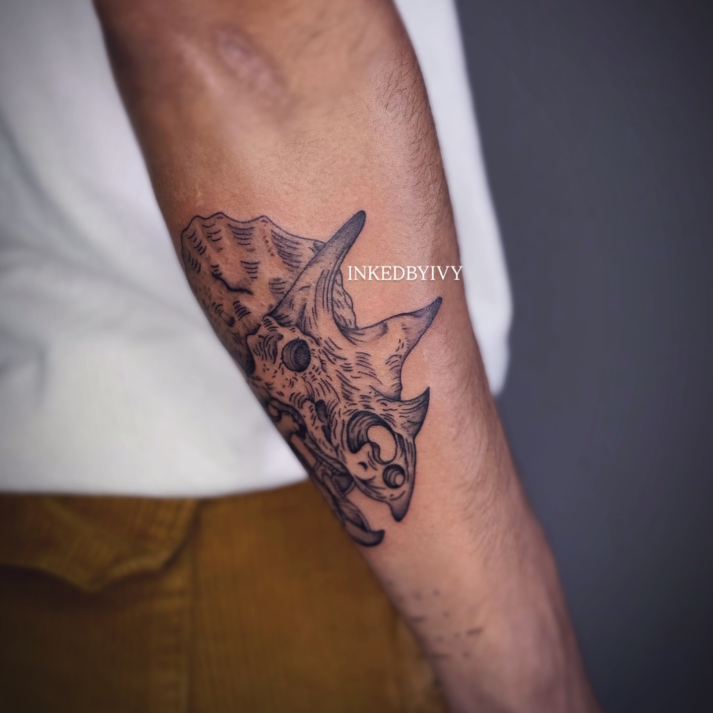 Triceratops skull black and grey tattoo on the forearm by IVY