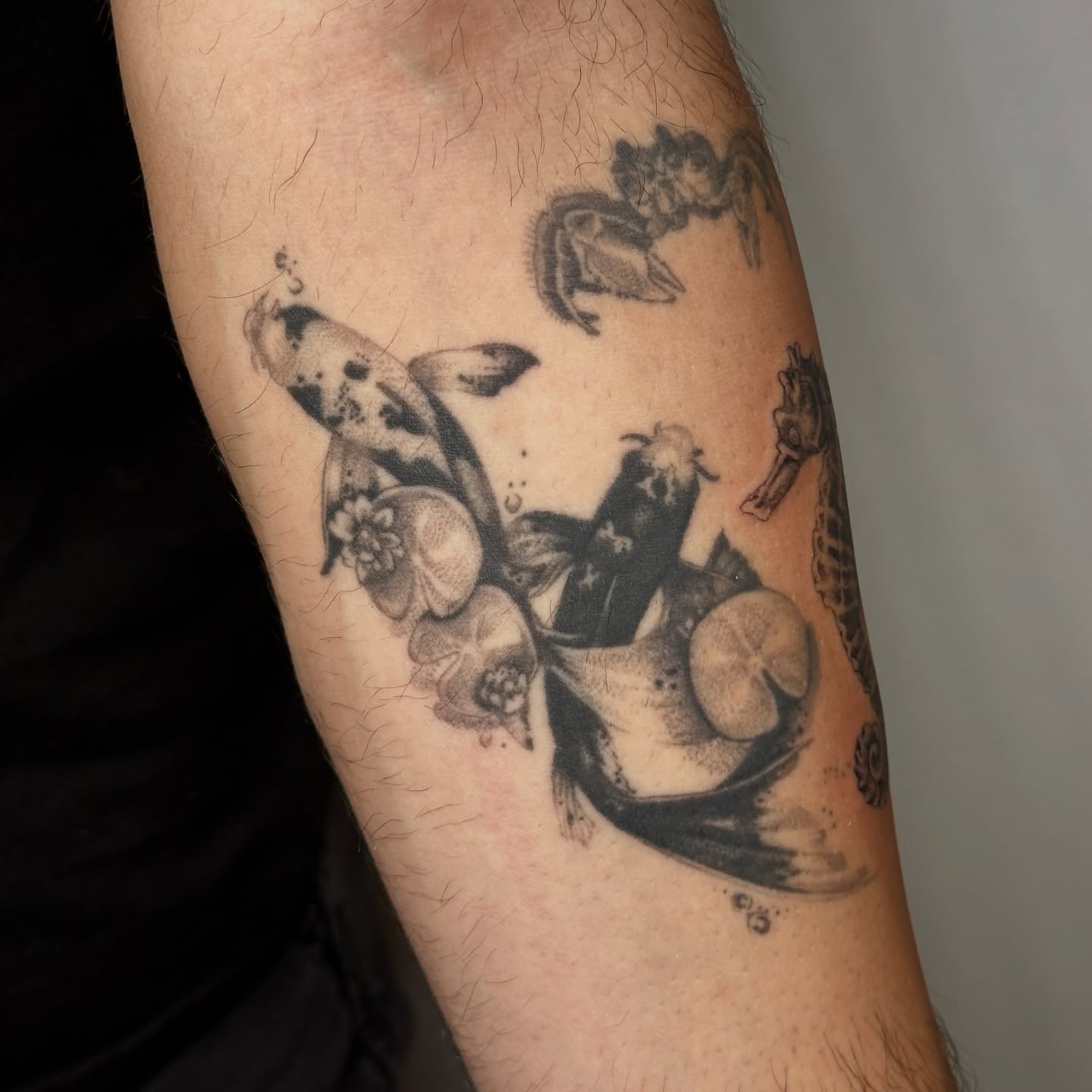 Koi fish and lotus dotwork tattoo on the forearm by 𓆏 Alyssa Carbonara 𓆏