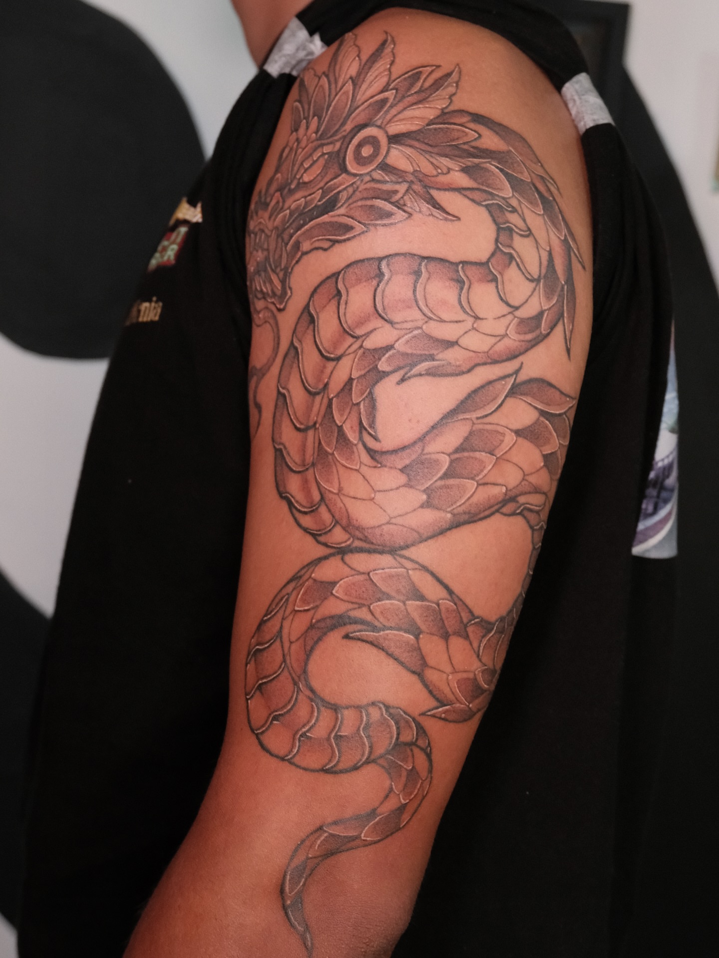 Dragon black and grey tattoo on the upper arm by Velvet, Seattle, Washington