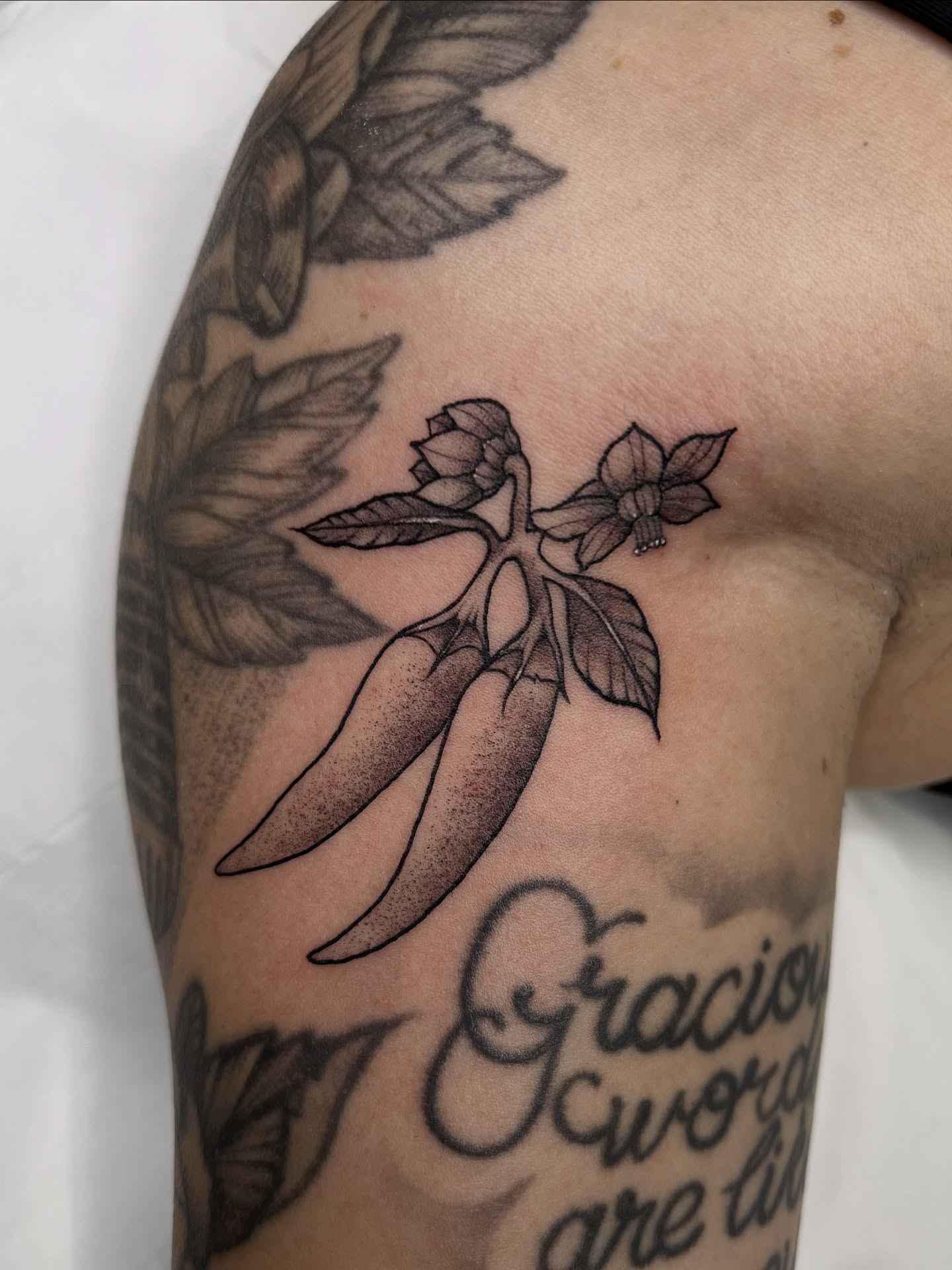 Tattoo by @courtneylloydtattoos — black_and_grey