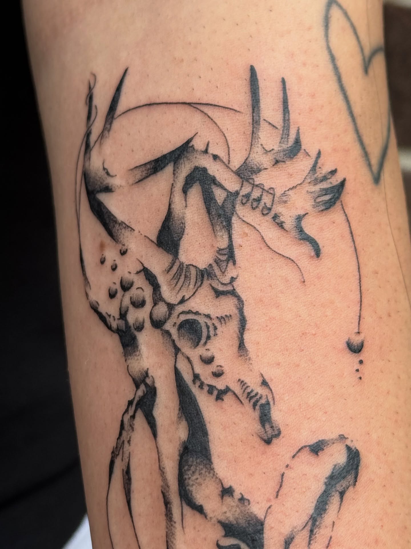 Deer skull dotwork tattoo on the forearm by Milo