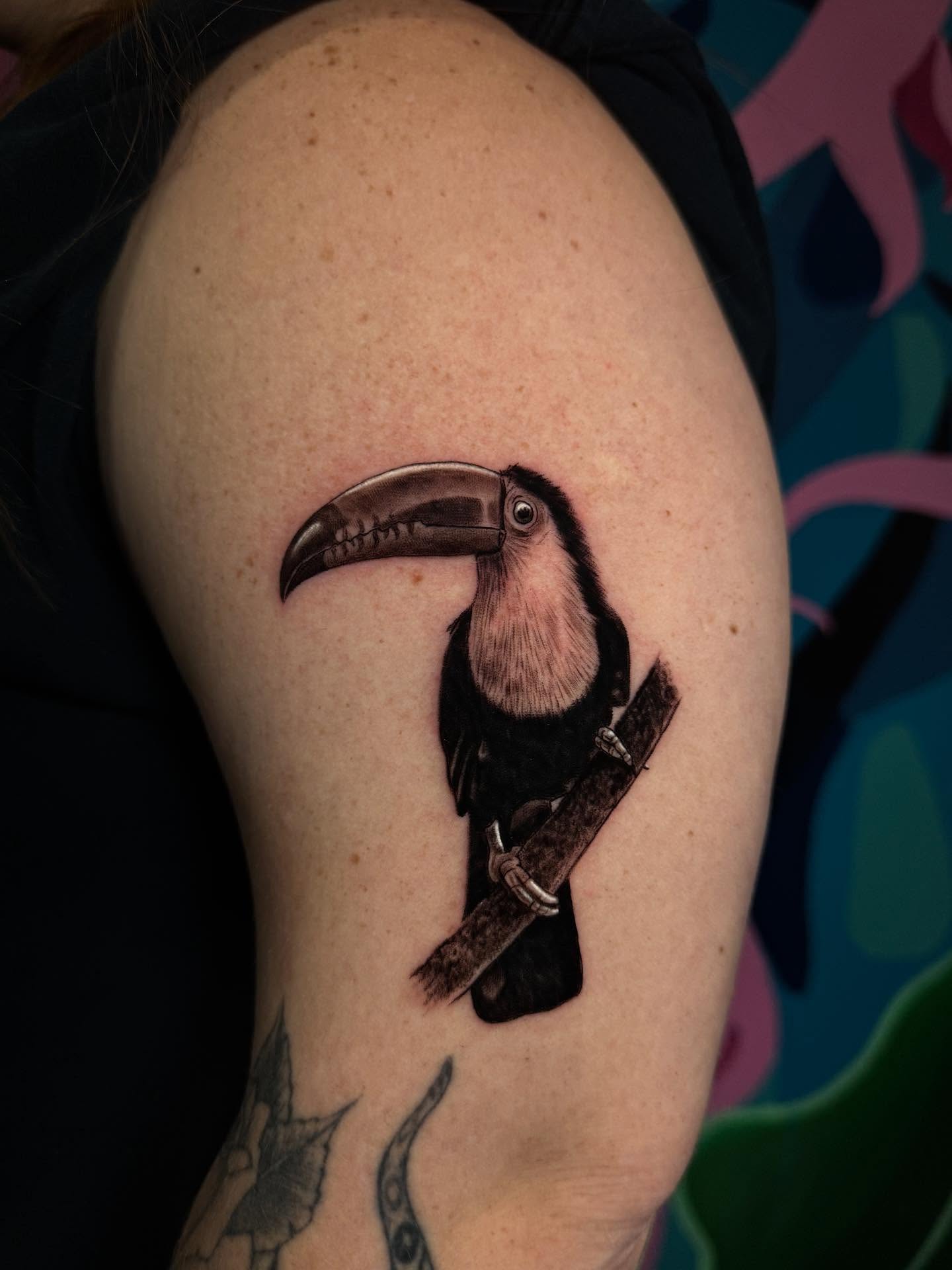 Toucan realism tattoo on the shoulder by CHiNO iNKs