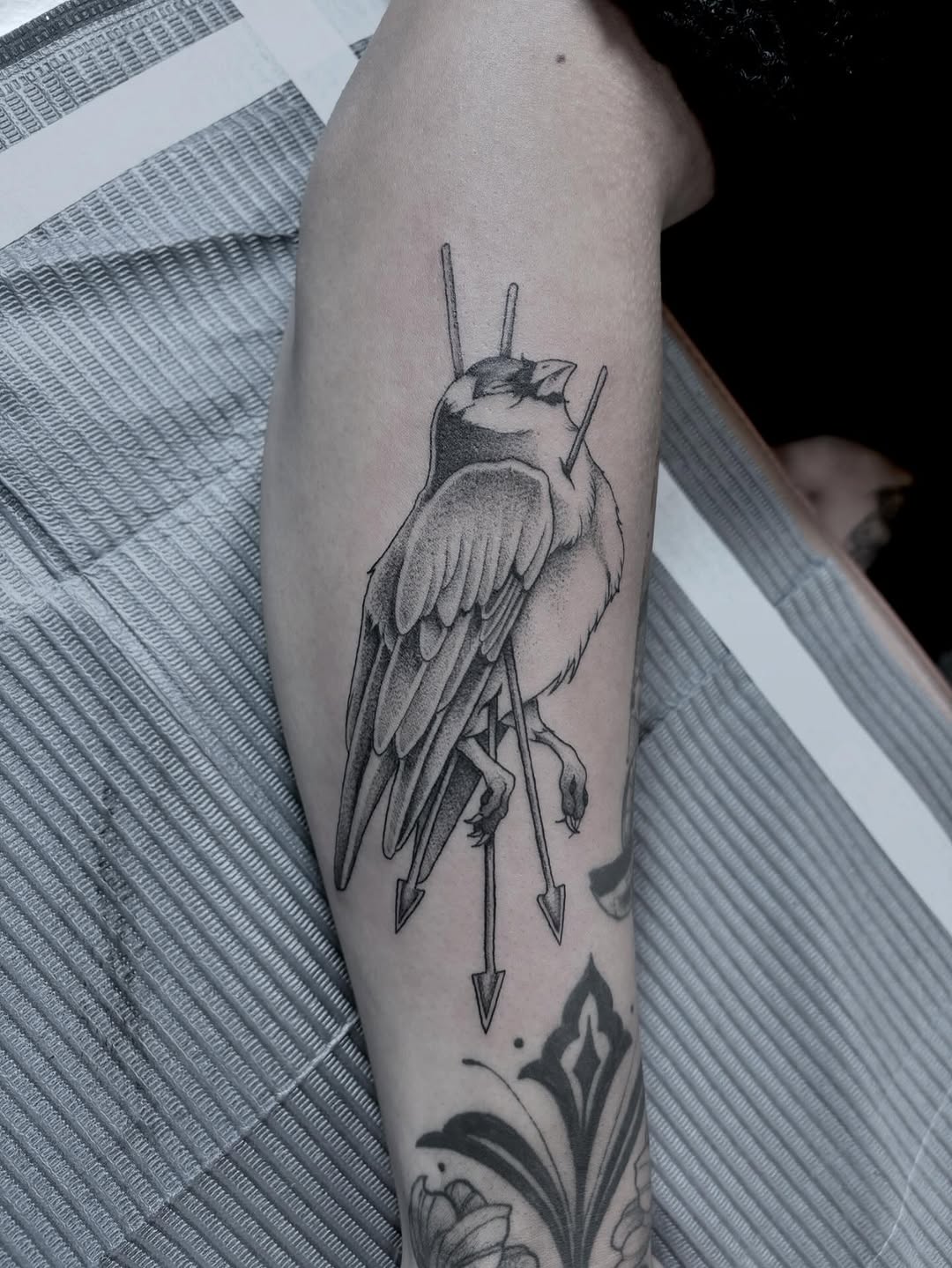 Bird with arrows fine line tattoo on the forearm by Zoe D