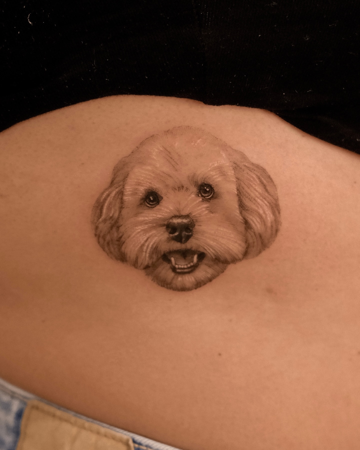 Dog realism tattoo on the back by Nicholas Solomon