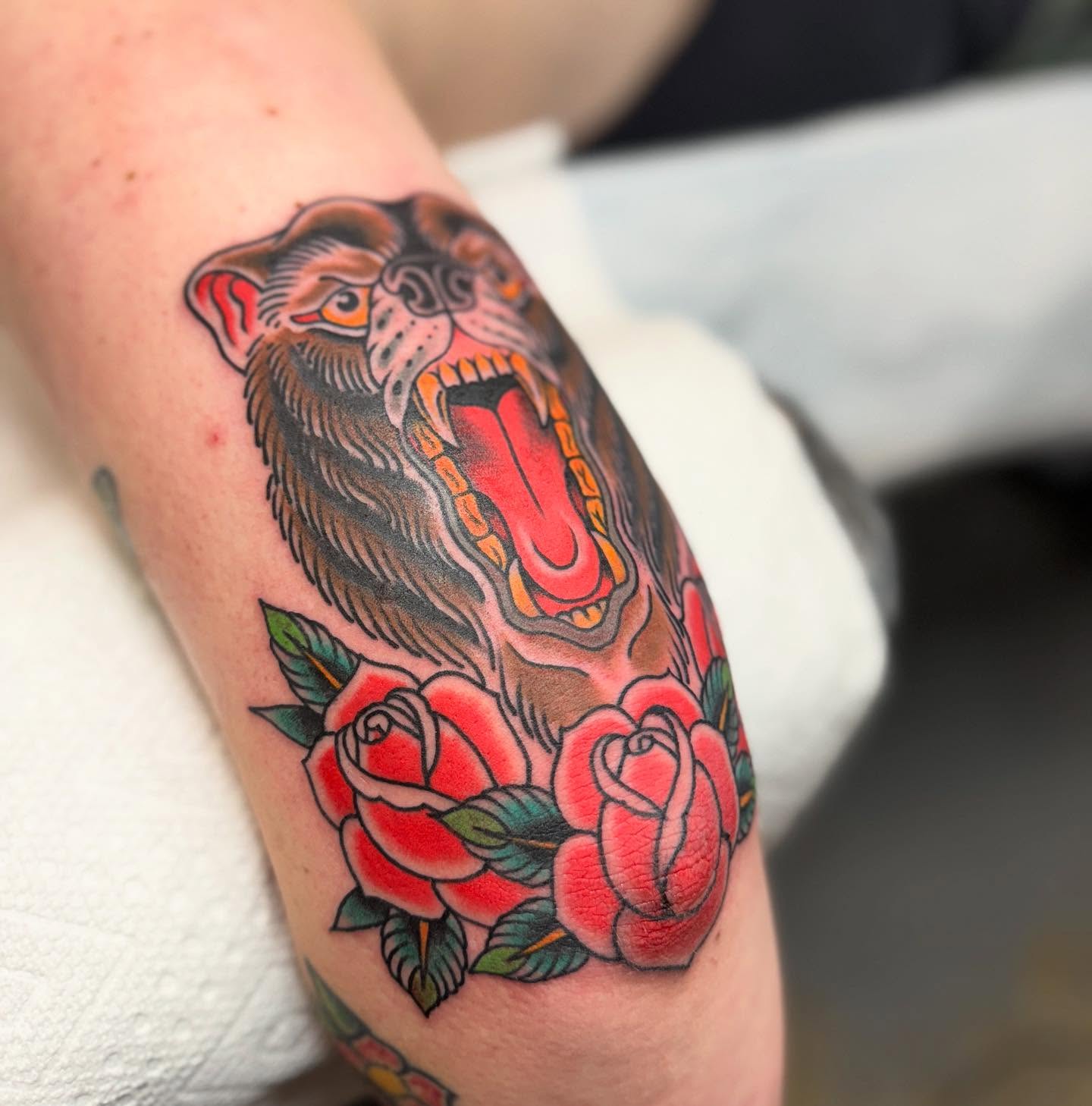 Bearded monkey with roses American traditional tattoo on the forearm by Cole Pittman Memphis Tattoo artist, Memphis, Tennessee