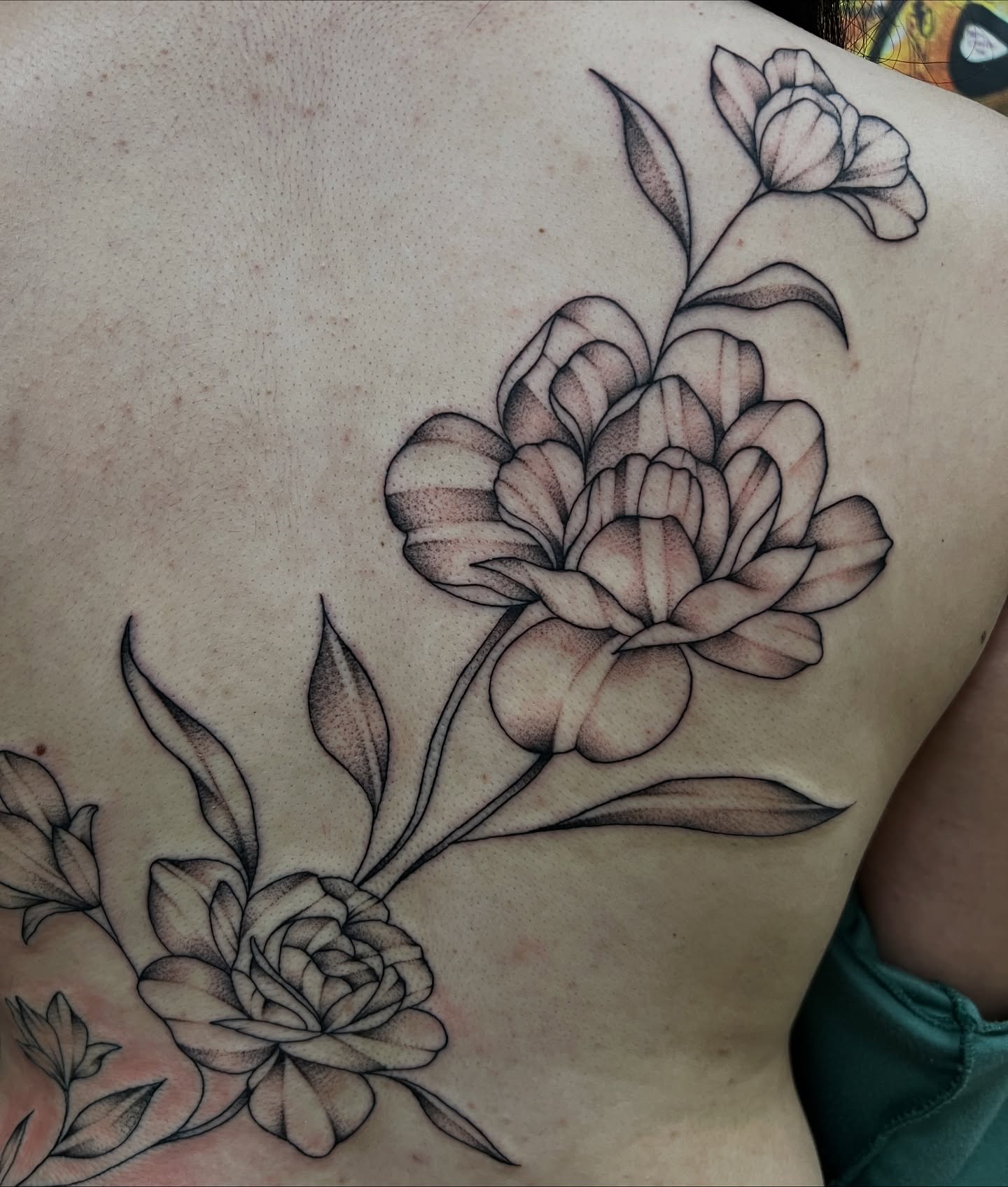 Peony flowers dotwork tattoo on the shoulder by Nadia ★