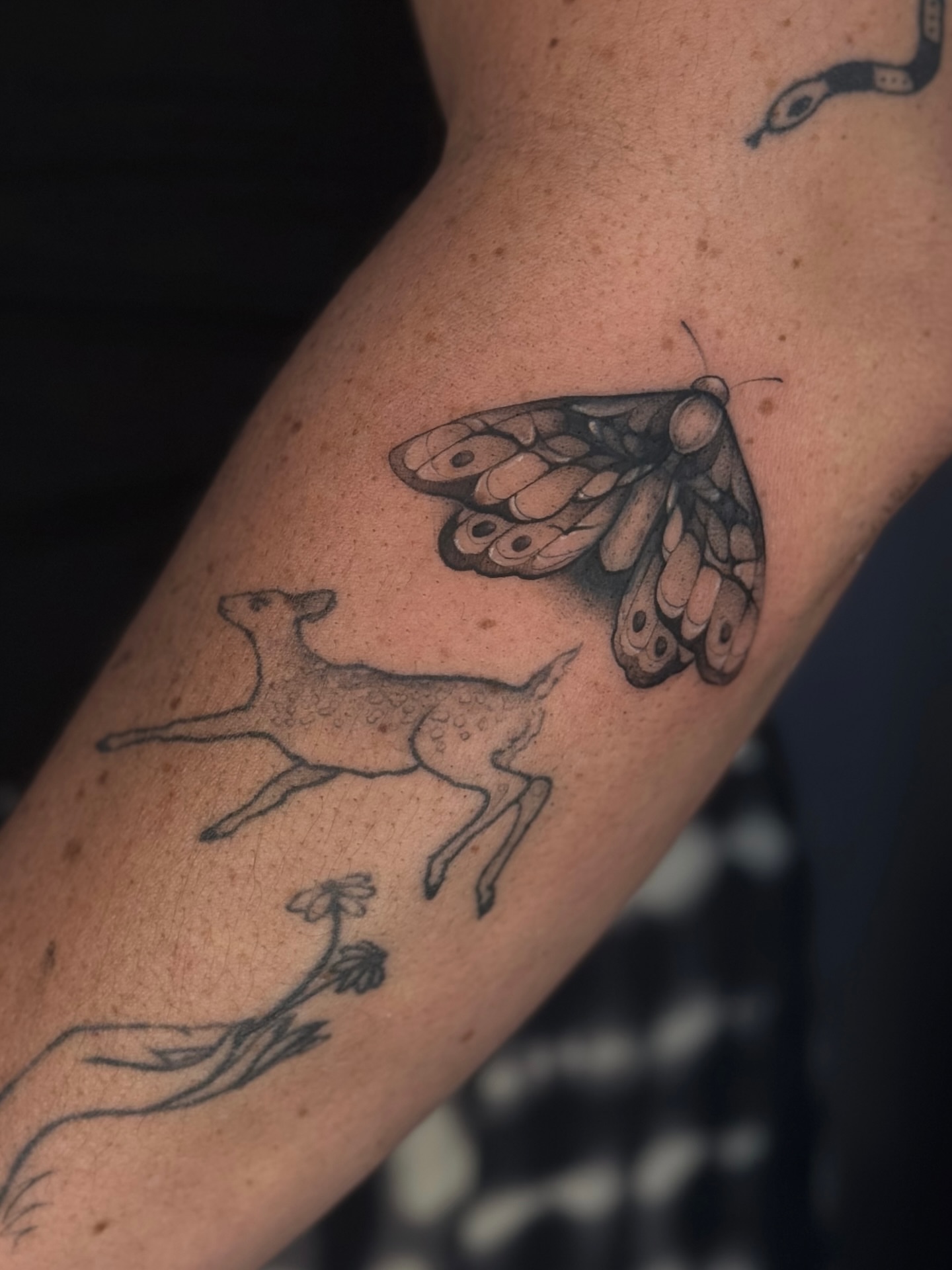 Deer and butterfly black and grey tattoo on the forearm by Daria