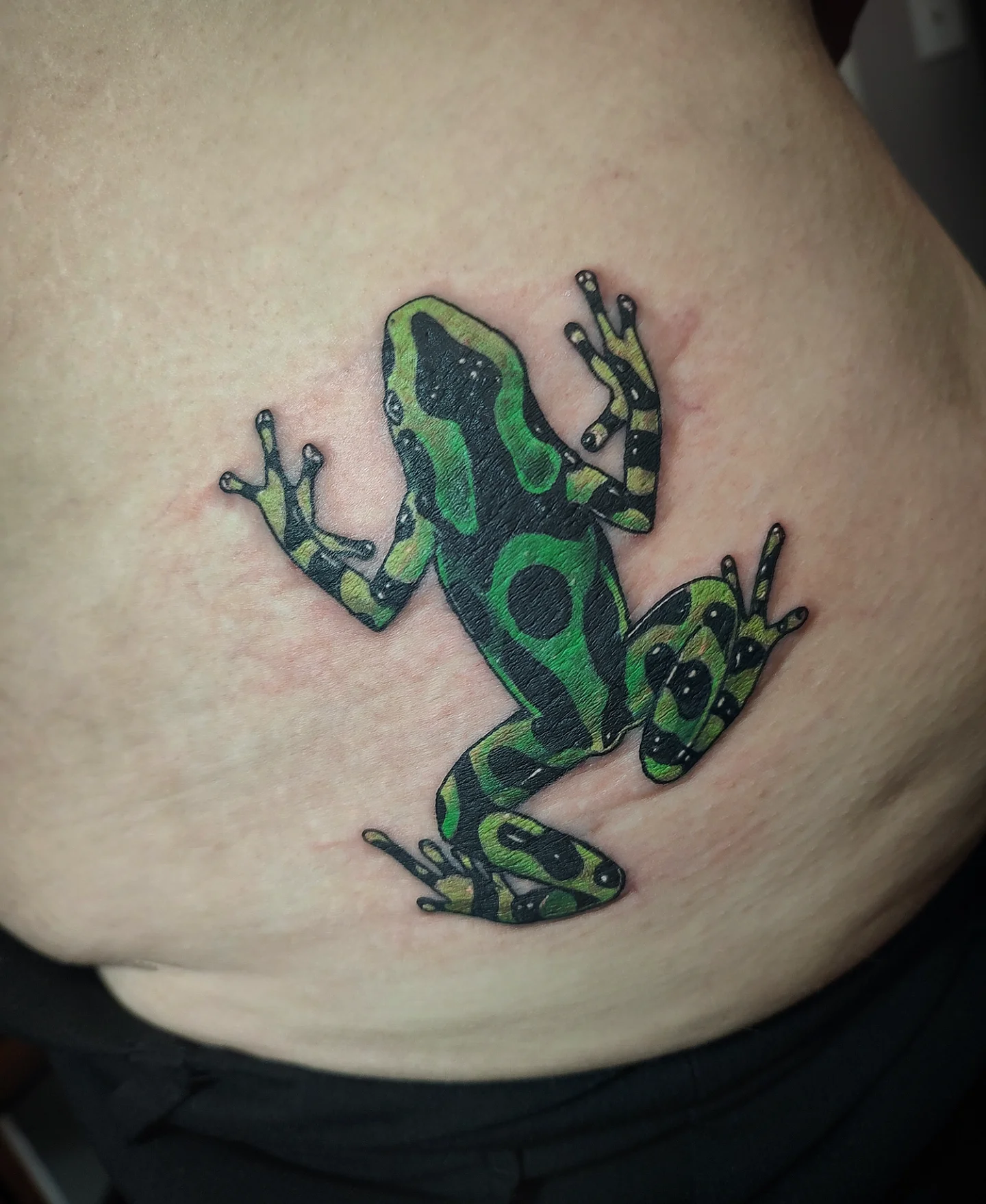 Frog dotwork tattoo by Jennifer Fowler