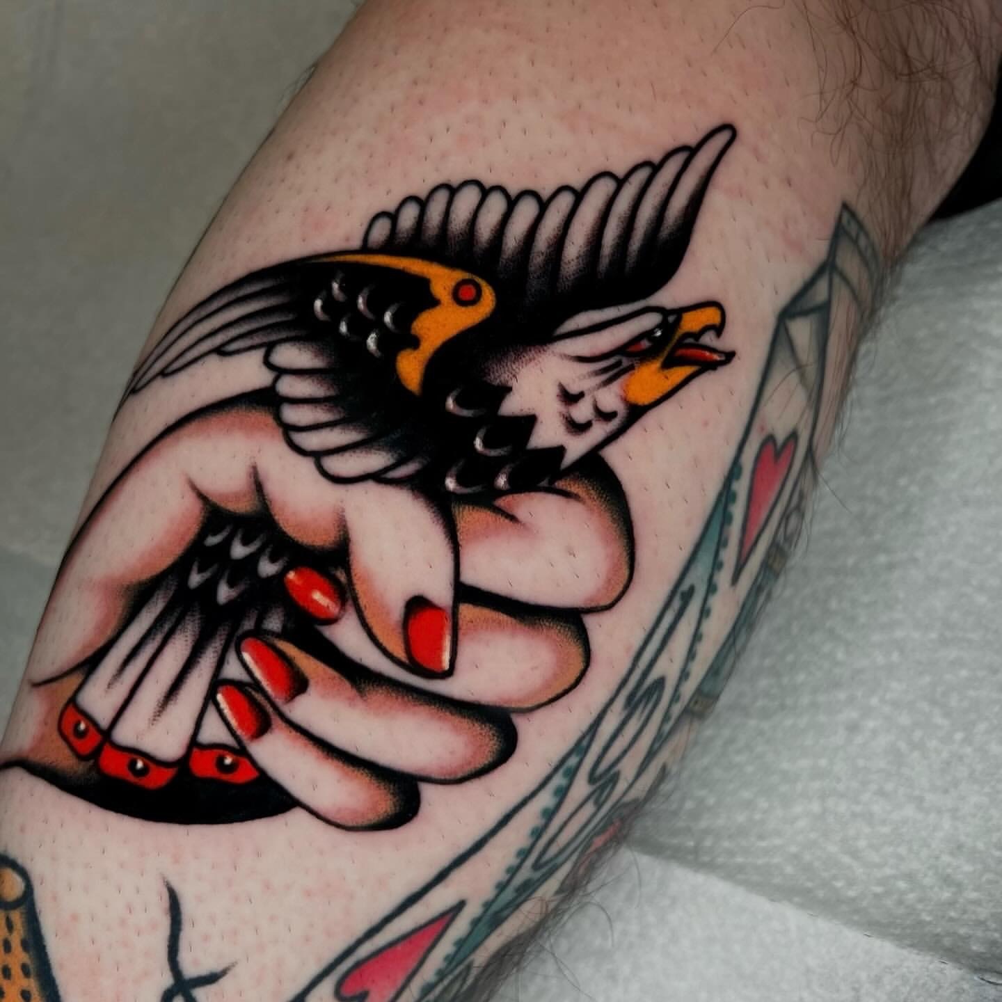 Hawk American traditional tattoo on the forearm by Hailey Johnson
