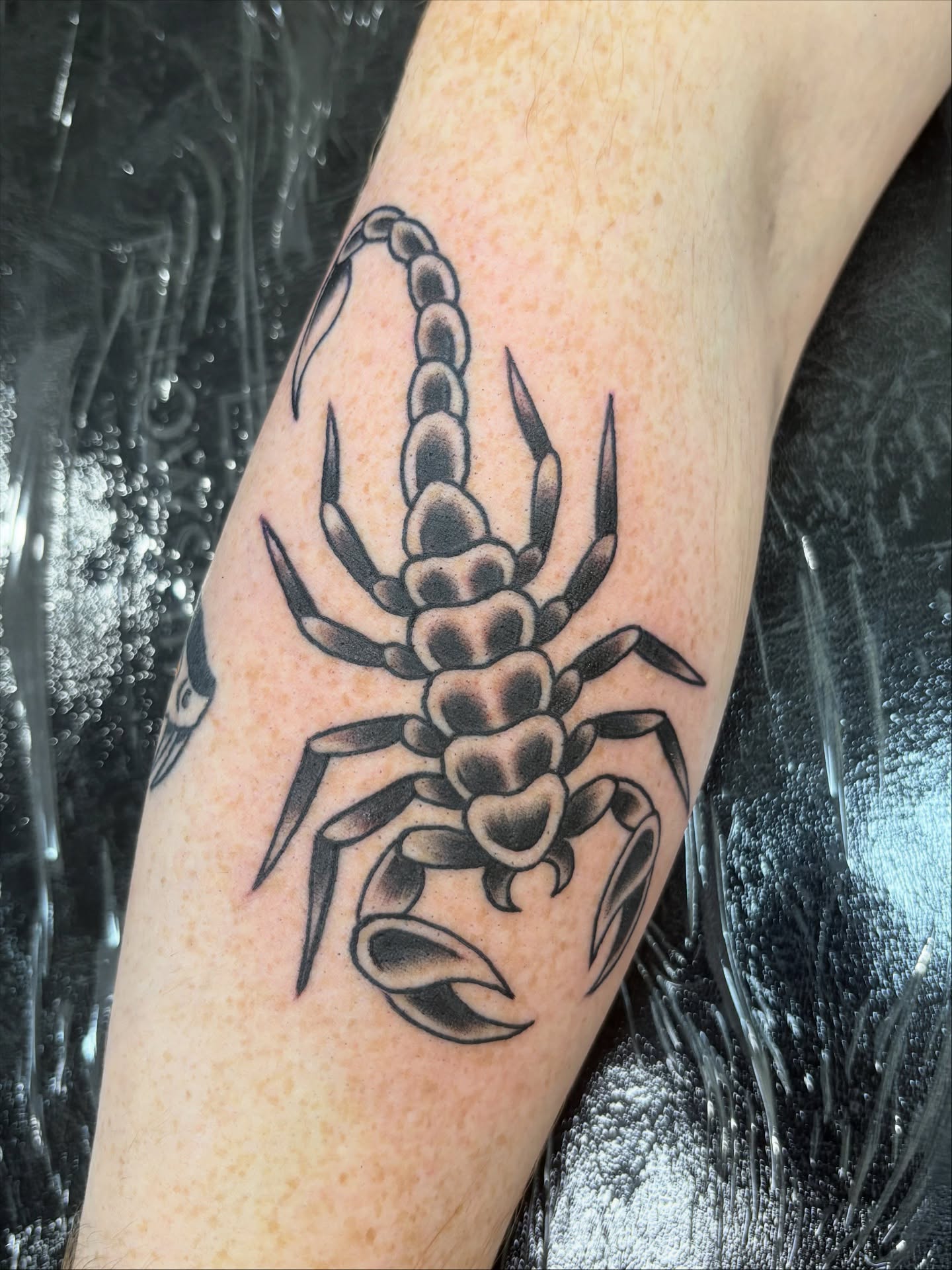 Scorpion black and grey tattoo on the forearm by Jamie Yuu, Minneapolis, Minnesota