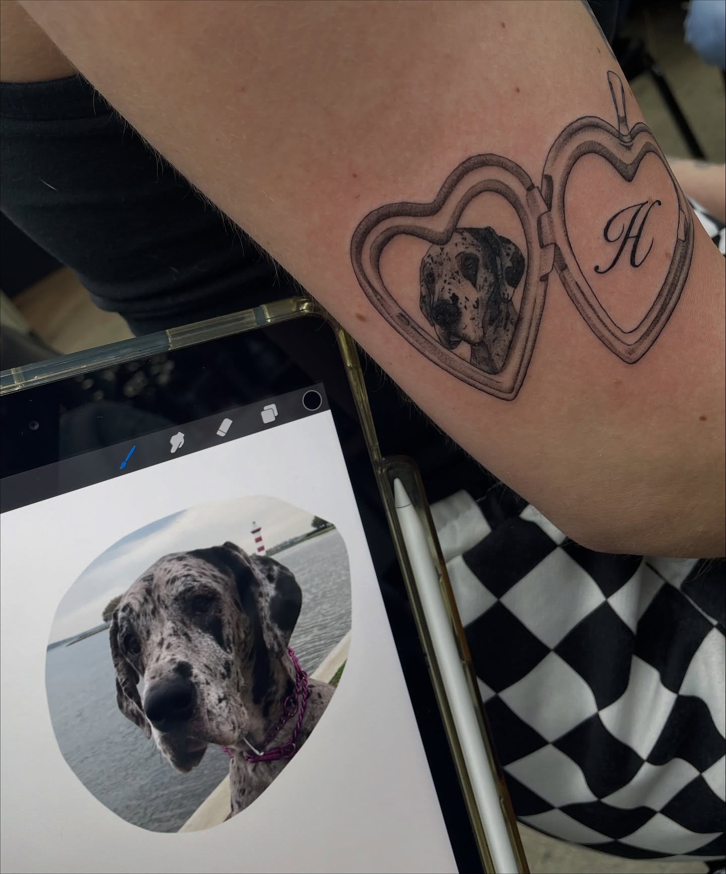 Dog in heart black and grey tattoo on the forearm by kaylee