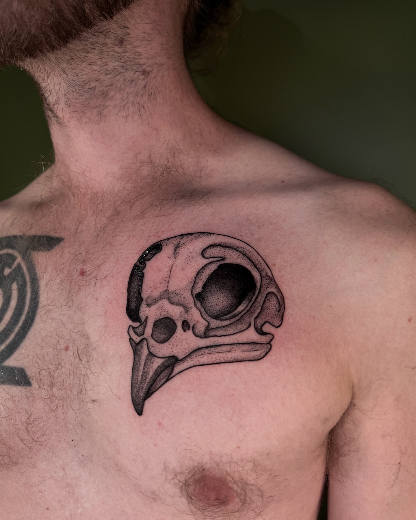 Tattoo by @faunawitchtattoo — dotwork, black_and_grey