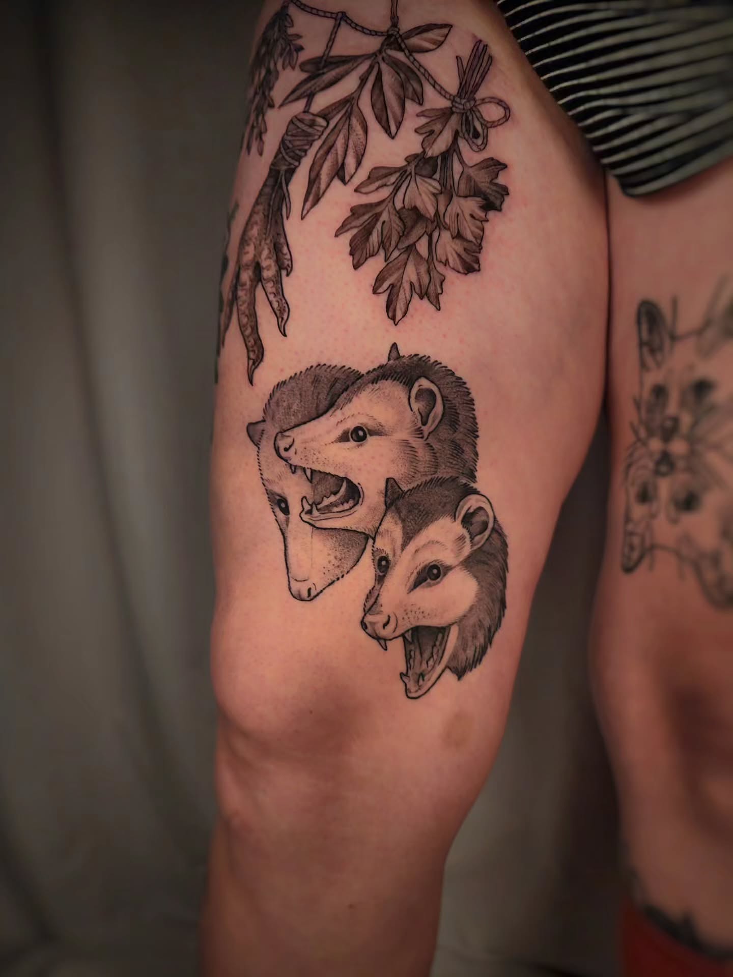 Possums black and grey tattoo on the thigh by Whitney Caskey