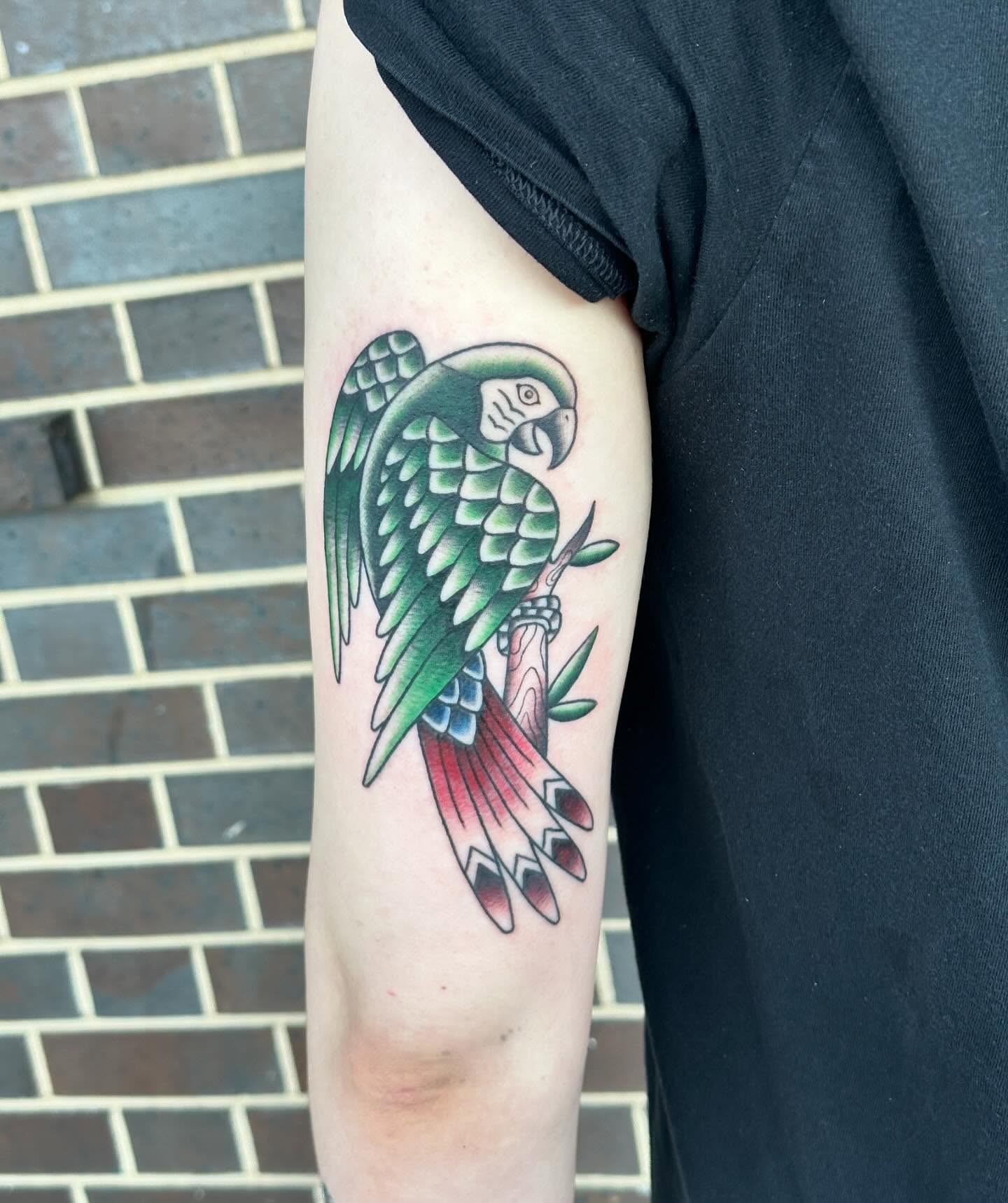Parrot American traditional tattoo on the forearm by Kerri Colello Sittenauer