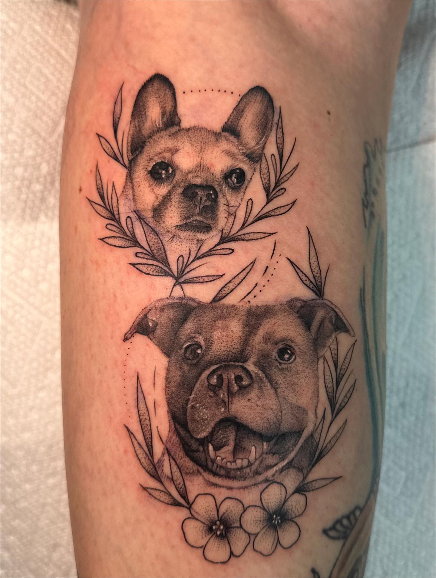 Dogs realism tattoo on the forearm by ⭒ ʜᴀɪʟᴇʏ ᴍᴇᴛᴢ ⭒