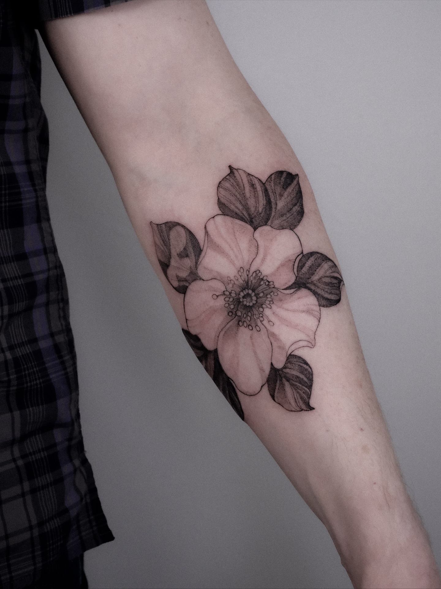 Flower black and grey tattoo on the forearm by Alena Zozulenko