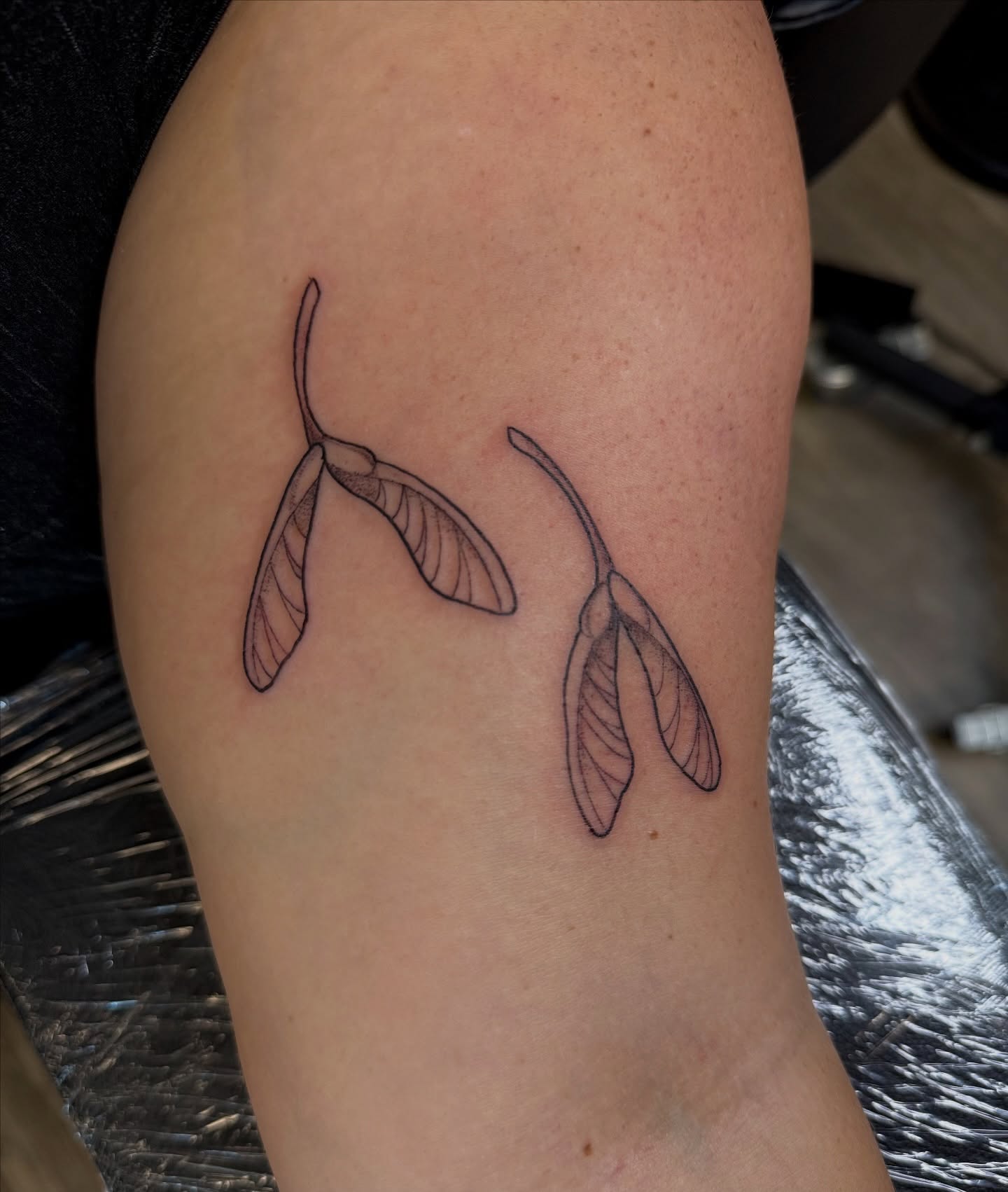 Tattoo by @hannahleetattoos — fine_line