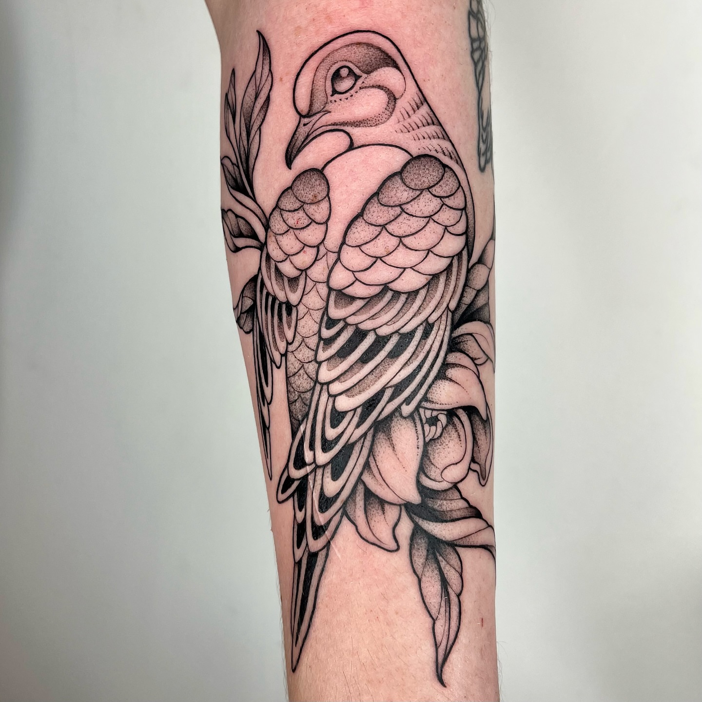Tattoo by @carlavtattoos β dotwork, black_and_grey
