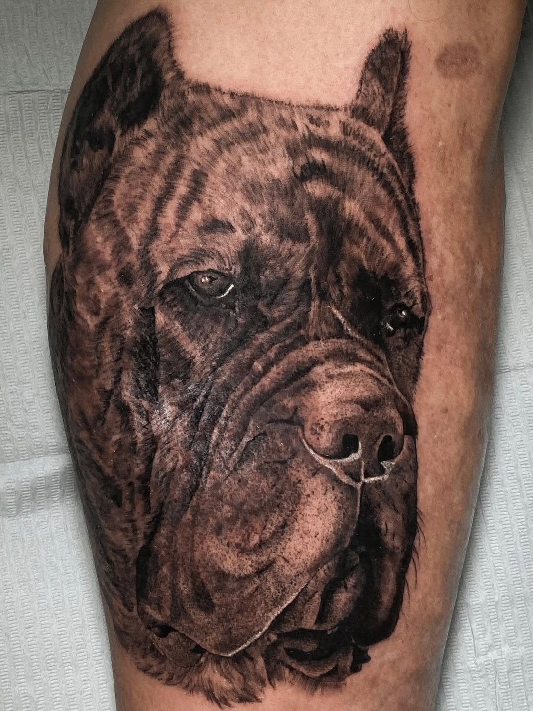 Tattoo by @nannytattoo β realism, black_and_grey