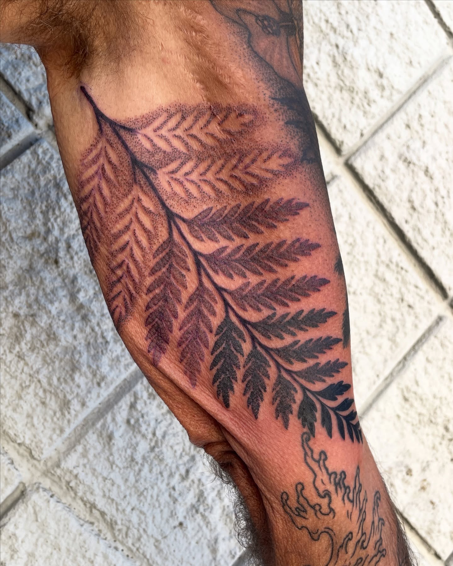 Fern leaf dotwork tattoo on the forearm by Austin Clark