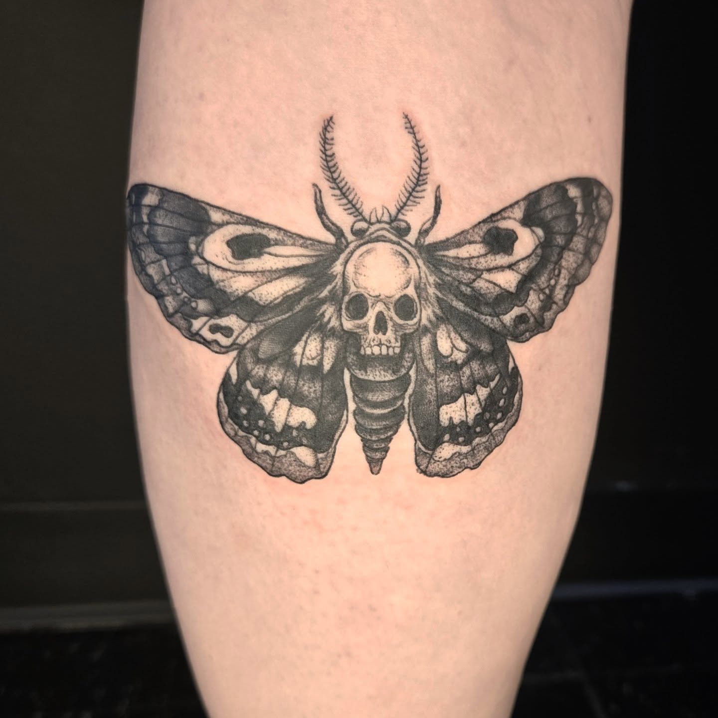 Tattoo by @robinmatztattoos โ dotwork, black_and_grey