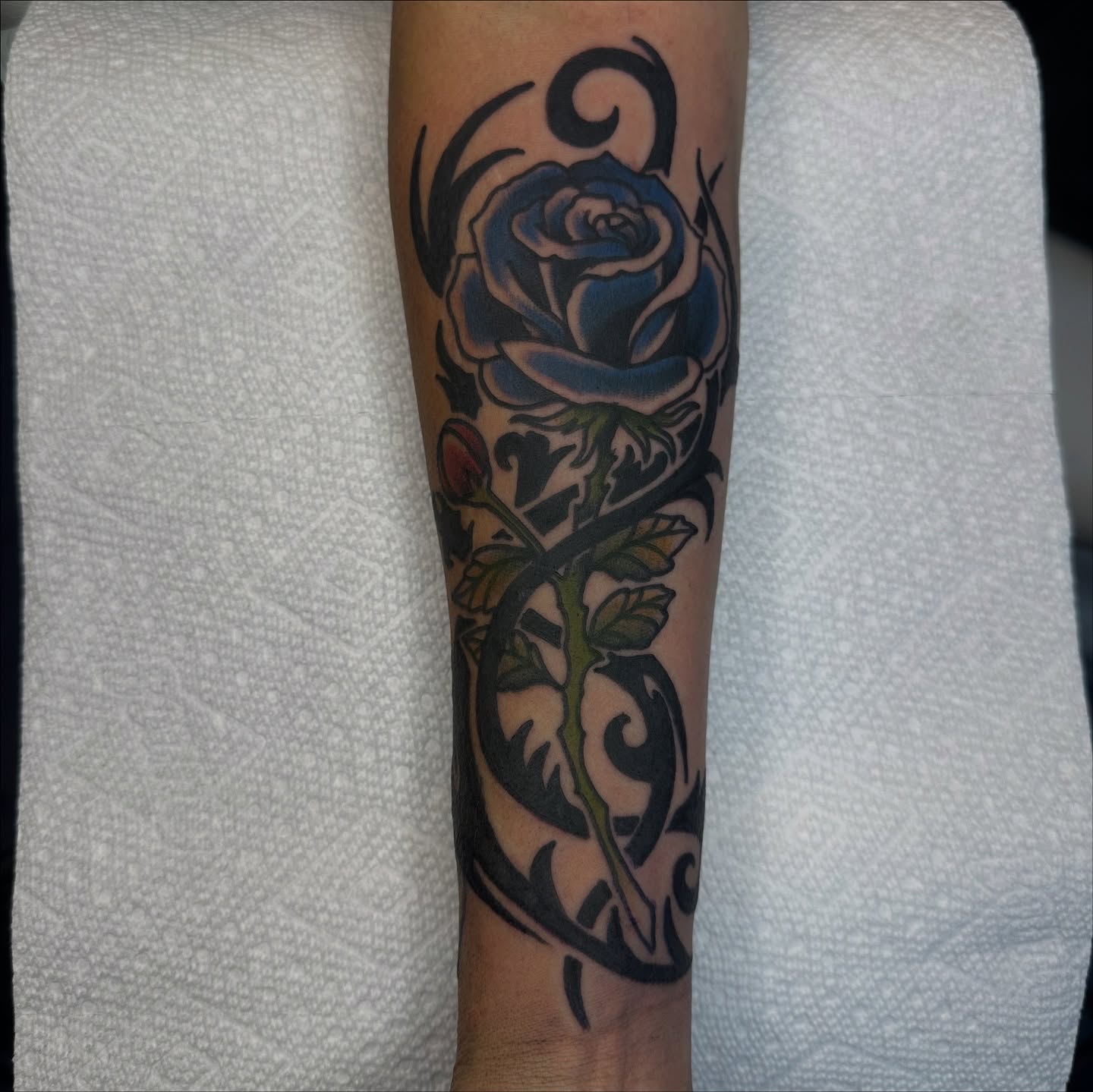 Tattoo by @gutterteeth — tribal