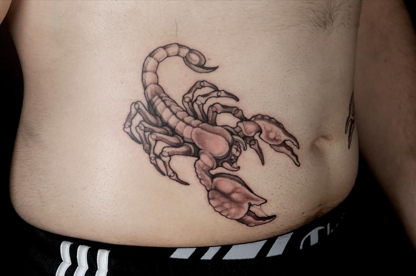 Scorpion black and grey tattoo on the torso by Brandon Seven