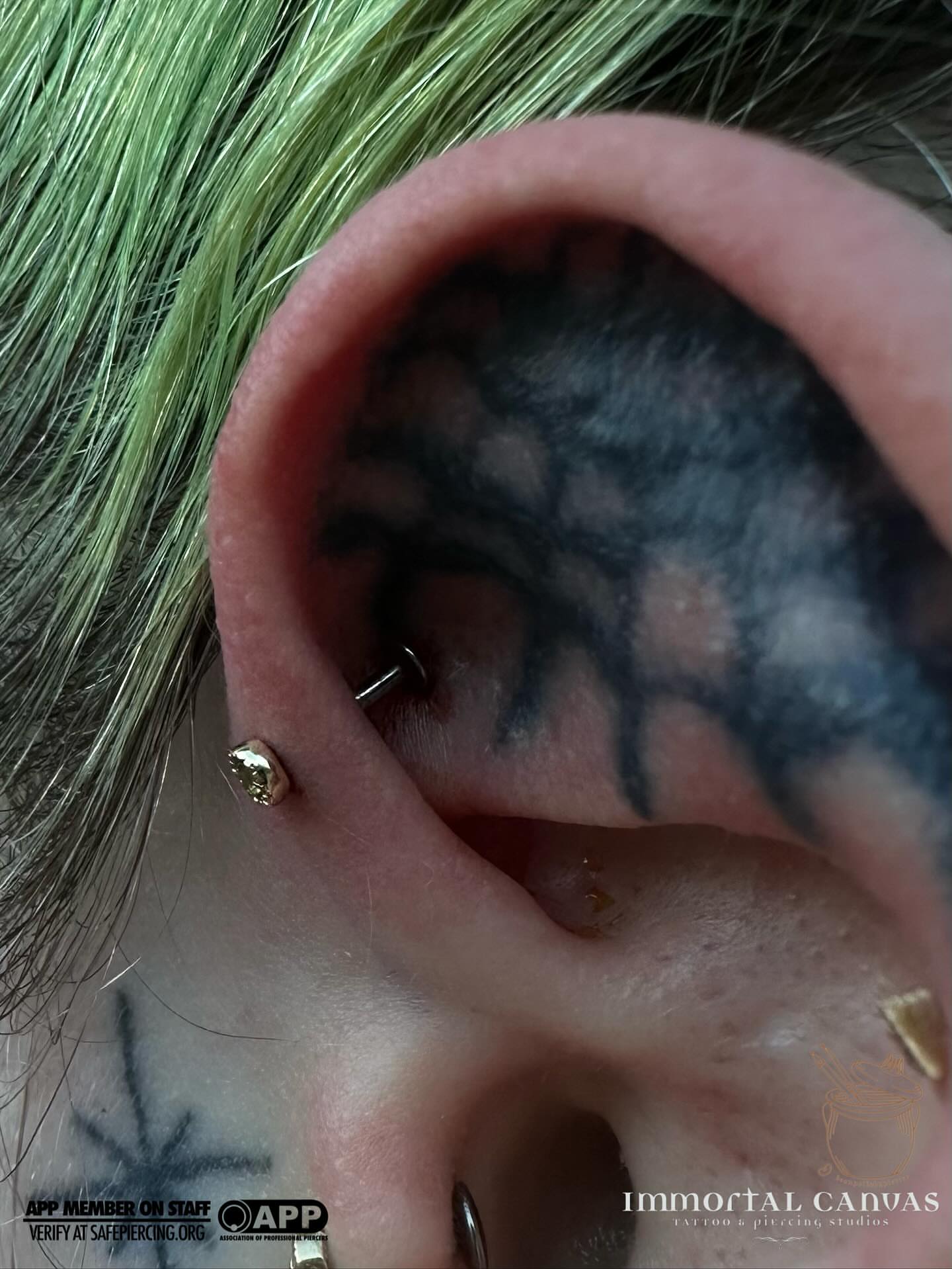 Tree black and grey tattoo by Corinne Carter
