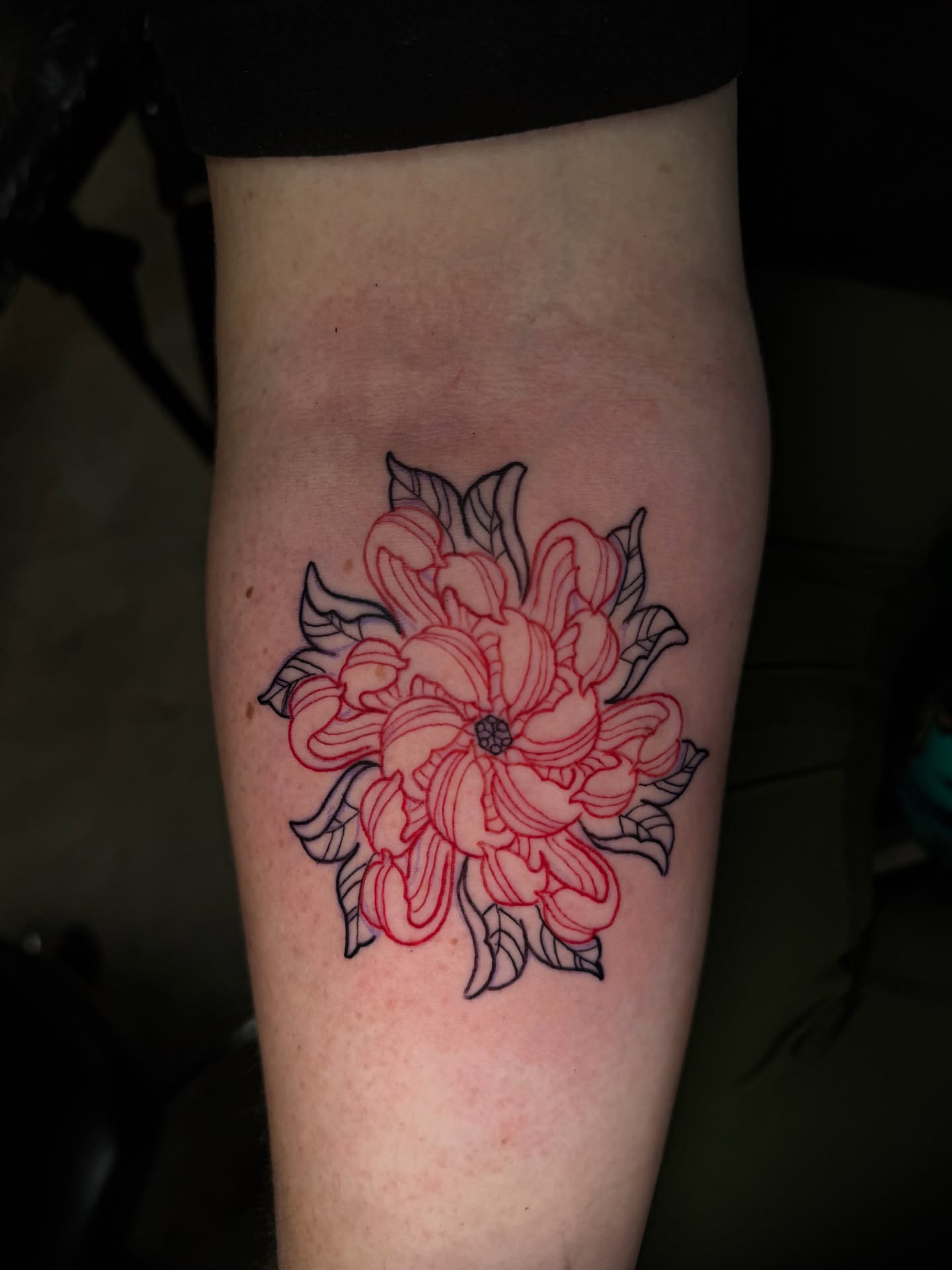 Chrysanthemum new school tattoo on the forearm by @ryanpereztattoo