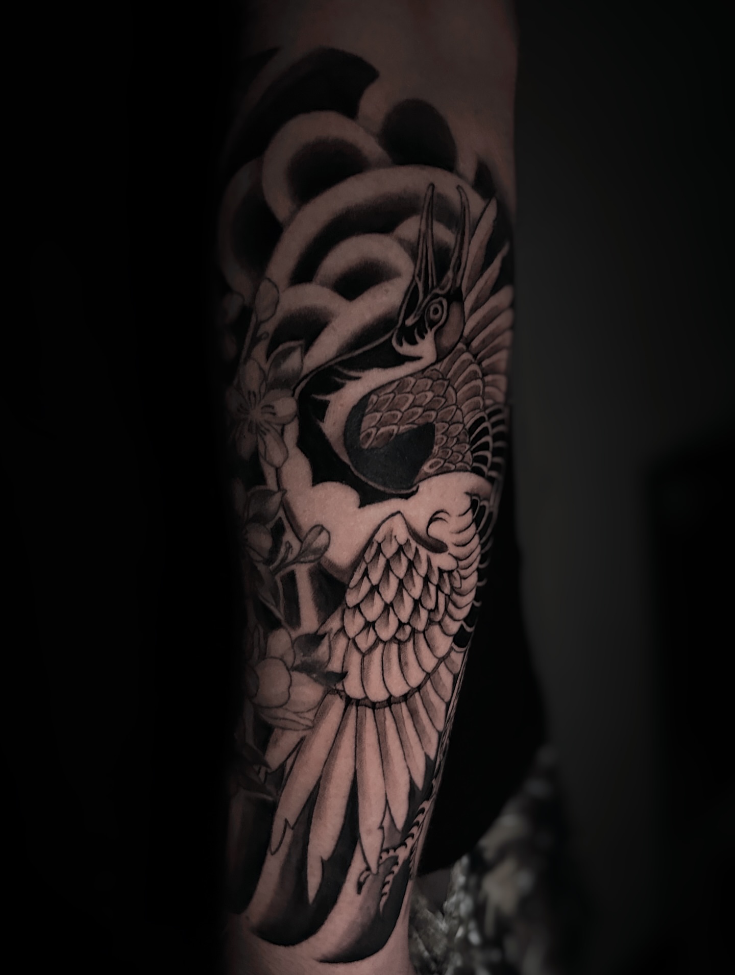 Bird black and grey tattoo on the forearm by Kolby