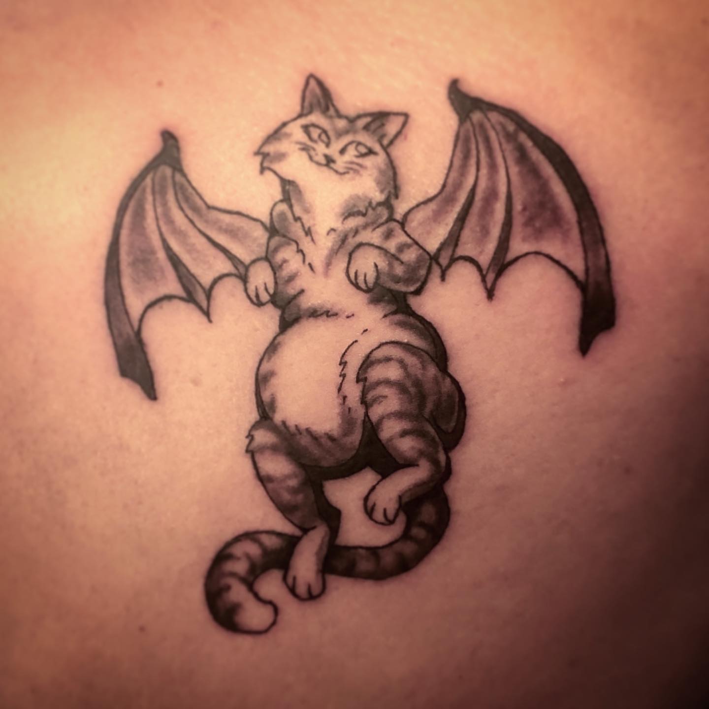 Cat with wings black and grey tattoo on the back by Dharm, Denver, Colorado