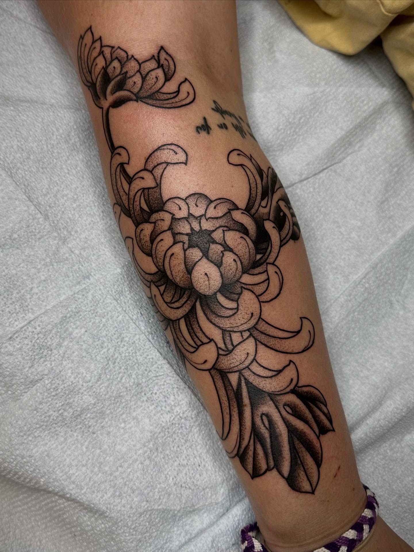 Chrysanthemum dotwork tattoo on the forearm by christian martinez