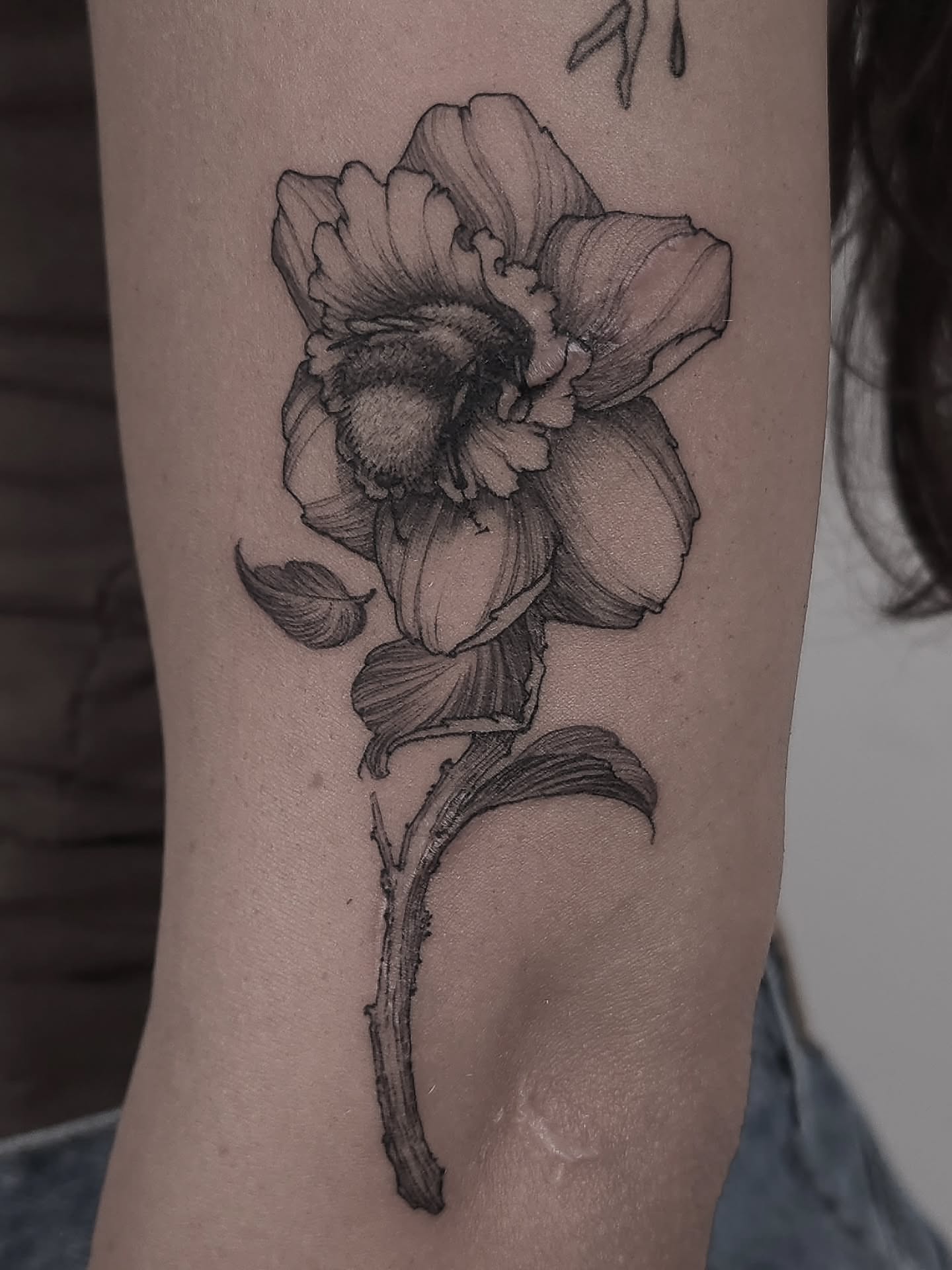 Daffodil black and grey tattoo on the forearm by ๐ฏ๐๐๐๐ ๐ท๐๐๐๐