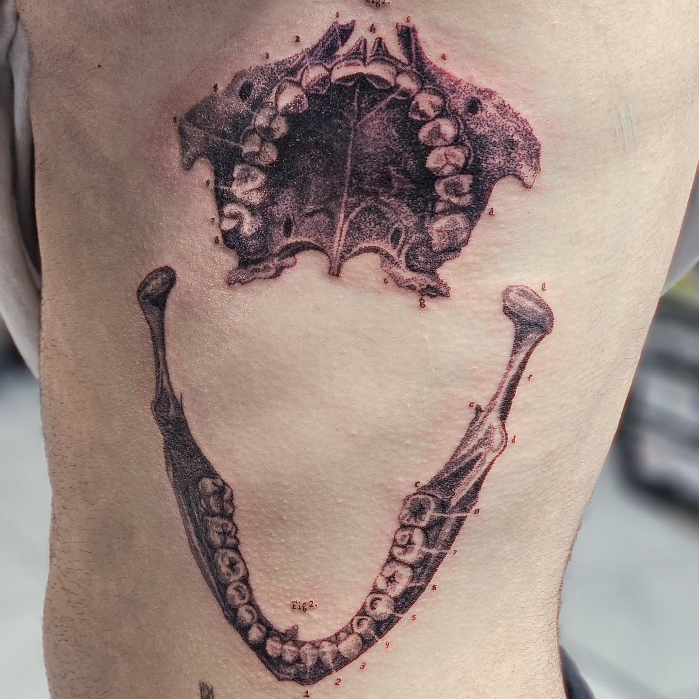 Tattoo by @j.nic444 — dotwork, realism