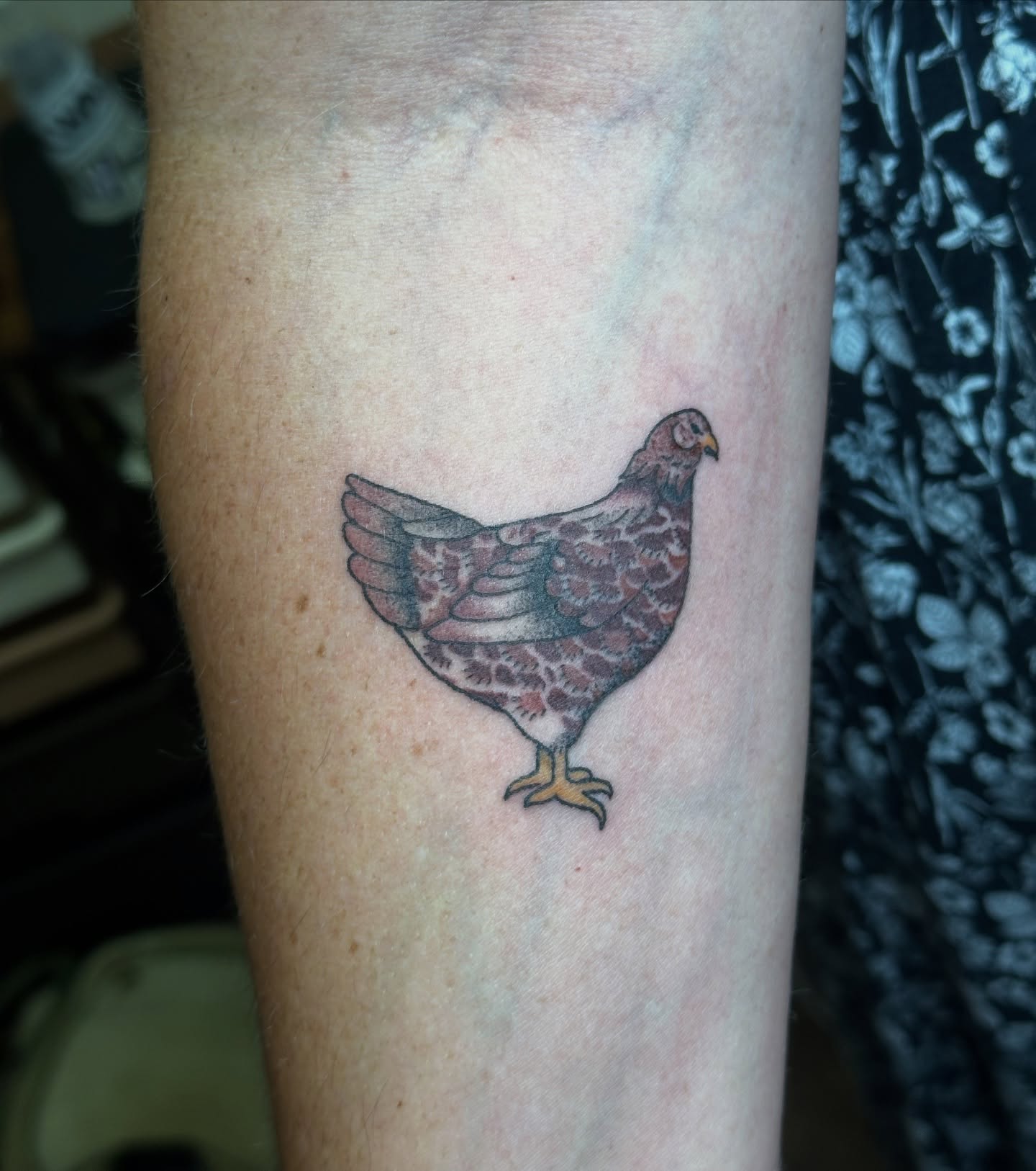 Chicken realism tattoo on the forearm by Gabriel F Kingston Beitia