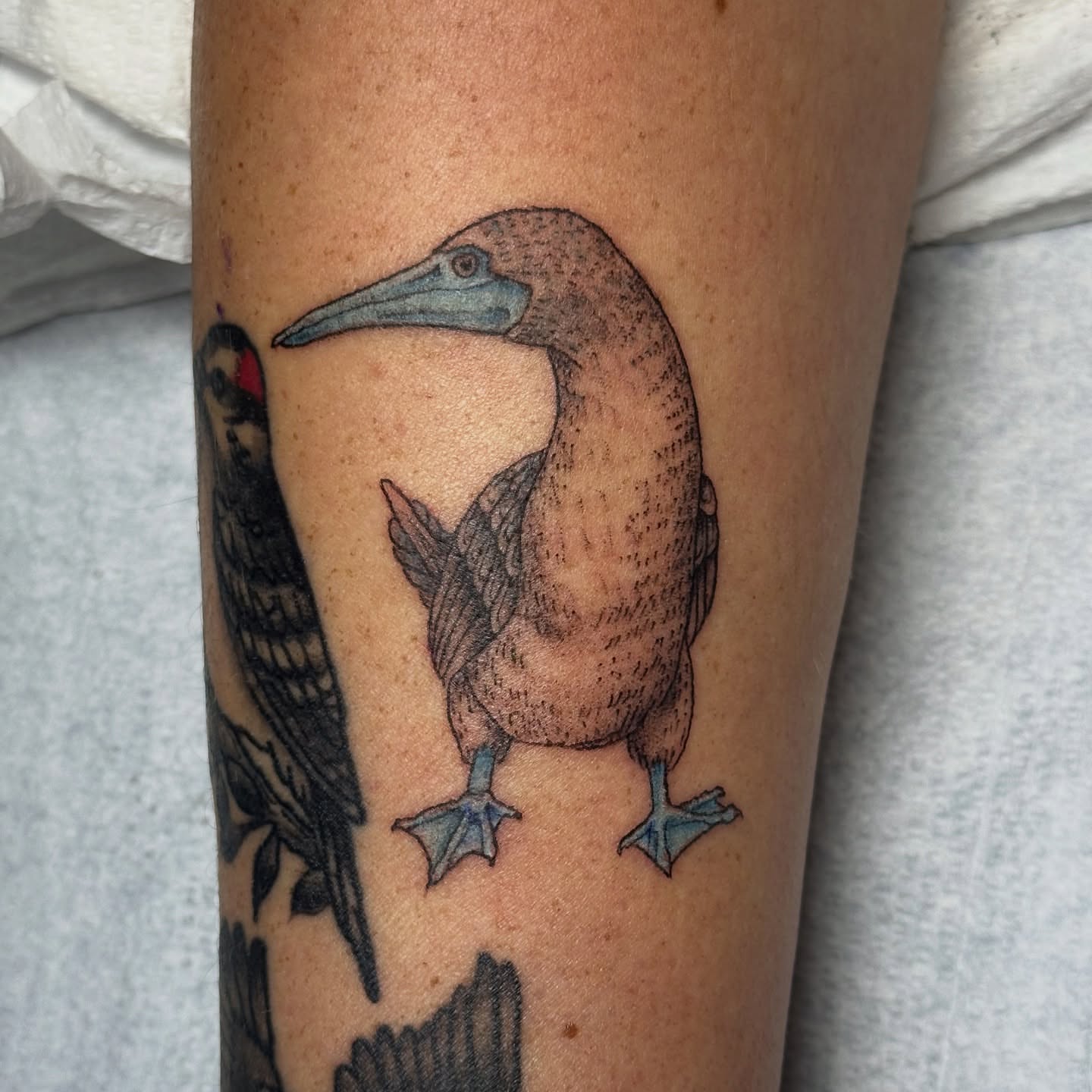 Tattoo by @lauren_delizza — dotwork