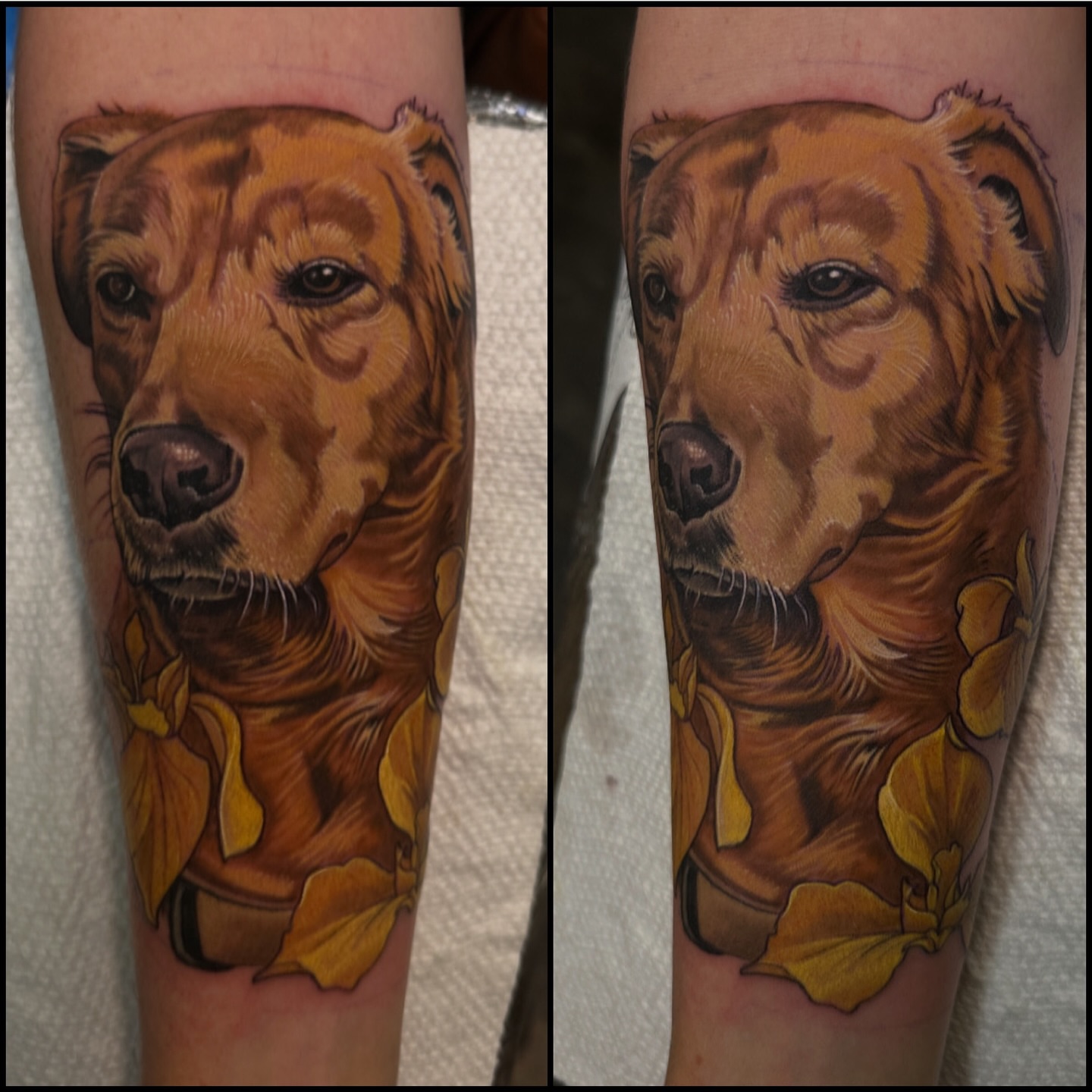 Tattoo by @johntarrao — realism