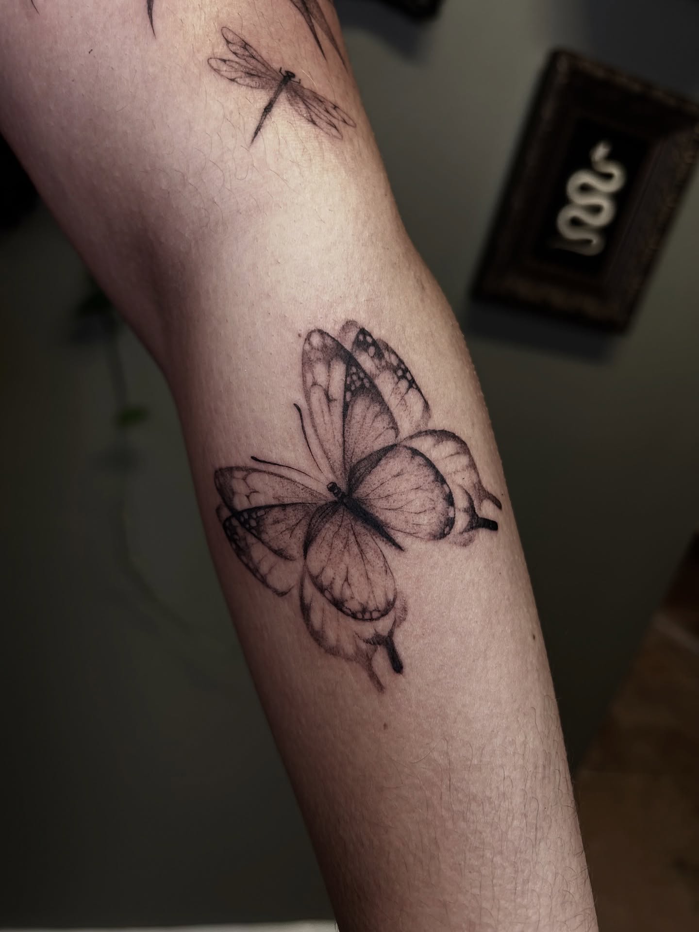 Butterfly black and grey tattoo on the forearm by 𝕤𝕒𝕧𝕒𝕟𝕟𝕒