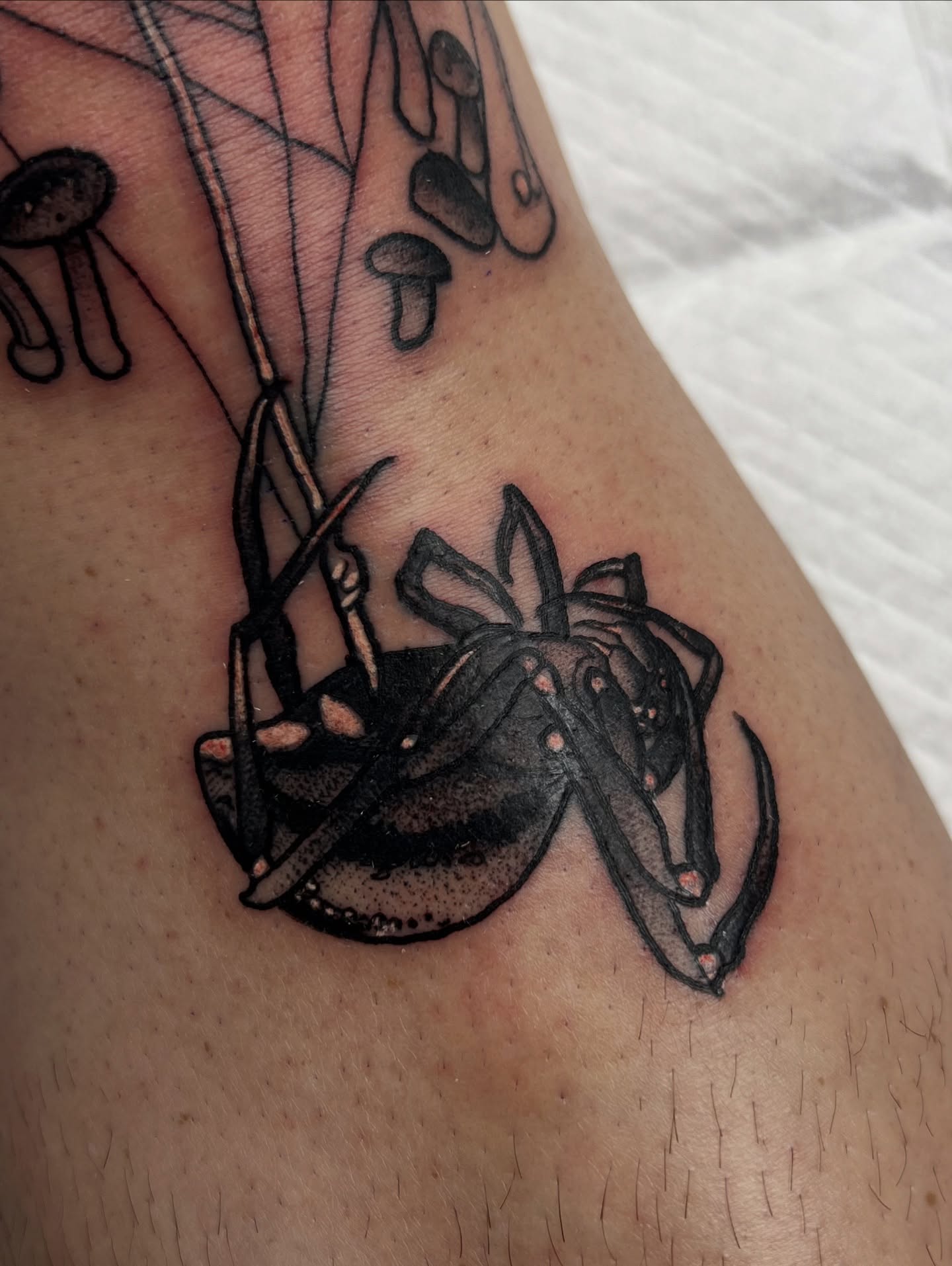 Scorpion black and grey tattoo on the forearm by Nathan Garcia